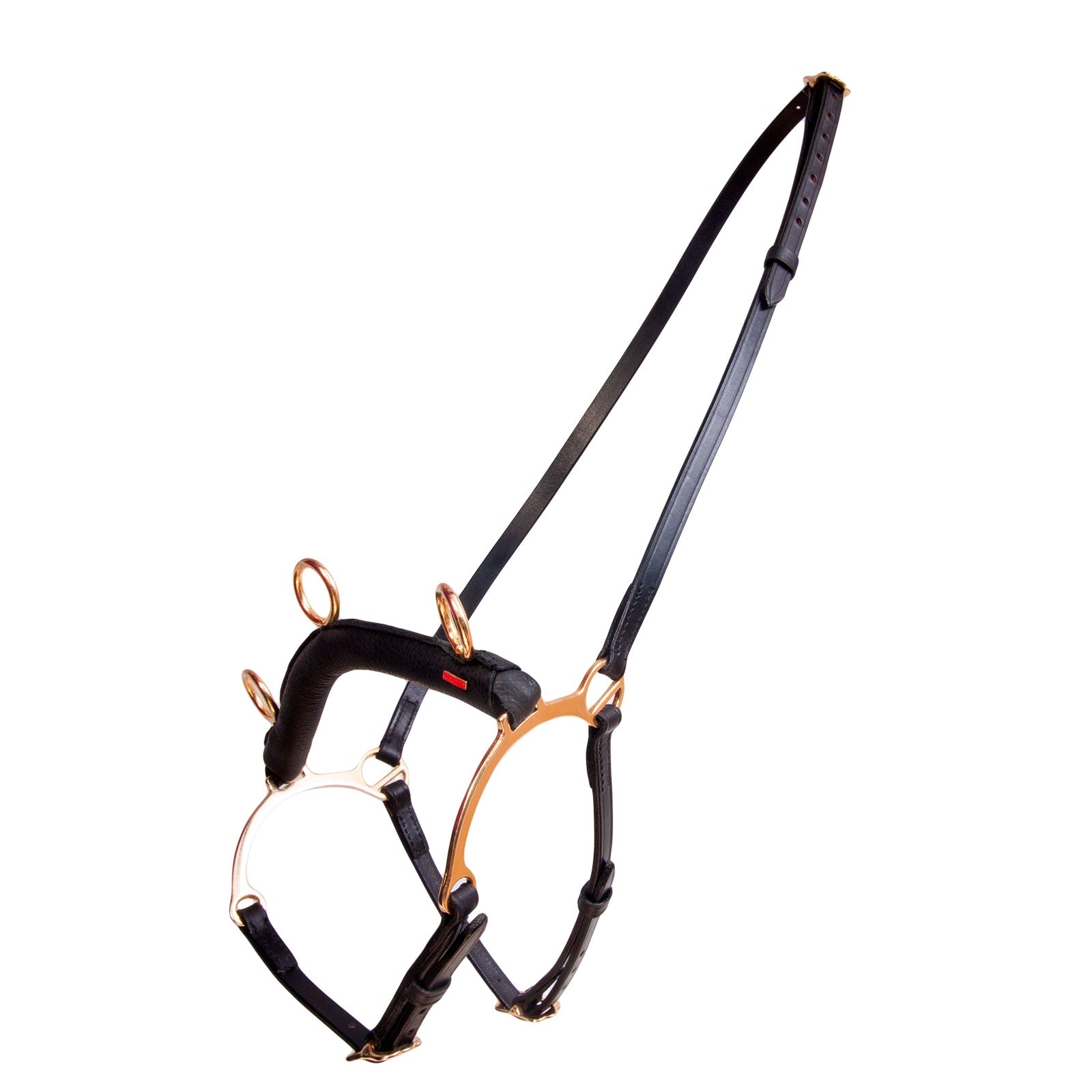 Karlslund gebissloser Zaum mit Bügel Longieren & Bodenarbeit