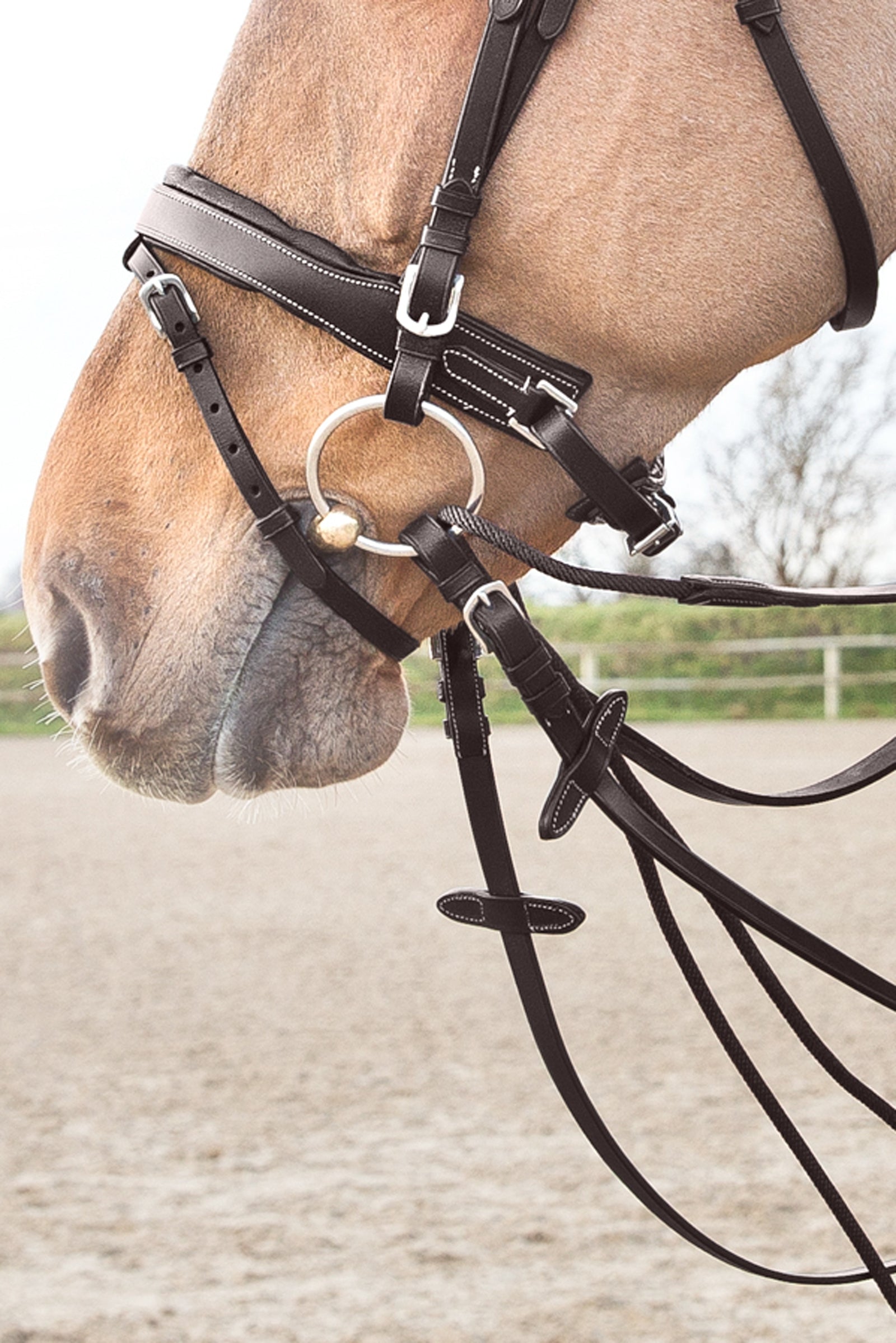 Horze Sparta Nylon/Leather Draw Reins Bridles & Reins