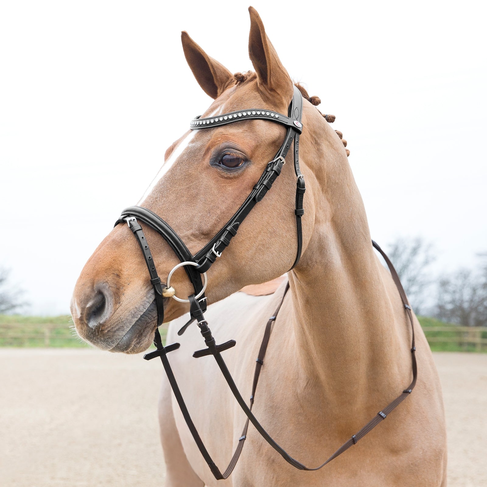Horze Slender Web Reins Bridles & Reins