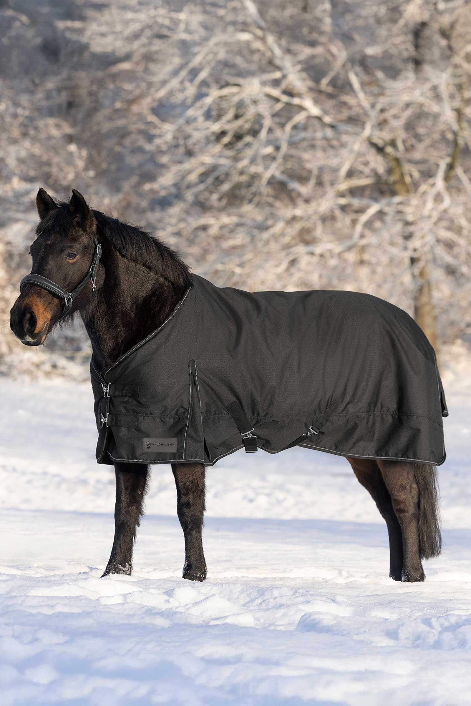 Waldhausen Nordic Turnout Rug, 200 g Horse Rugs