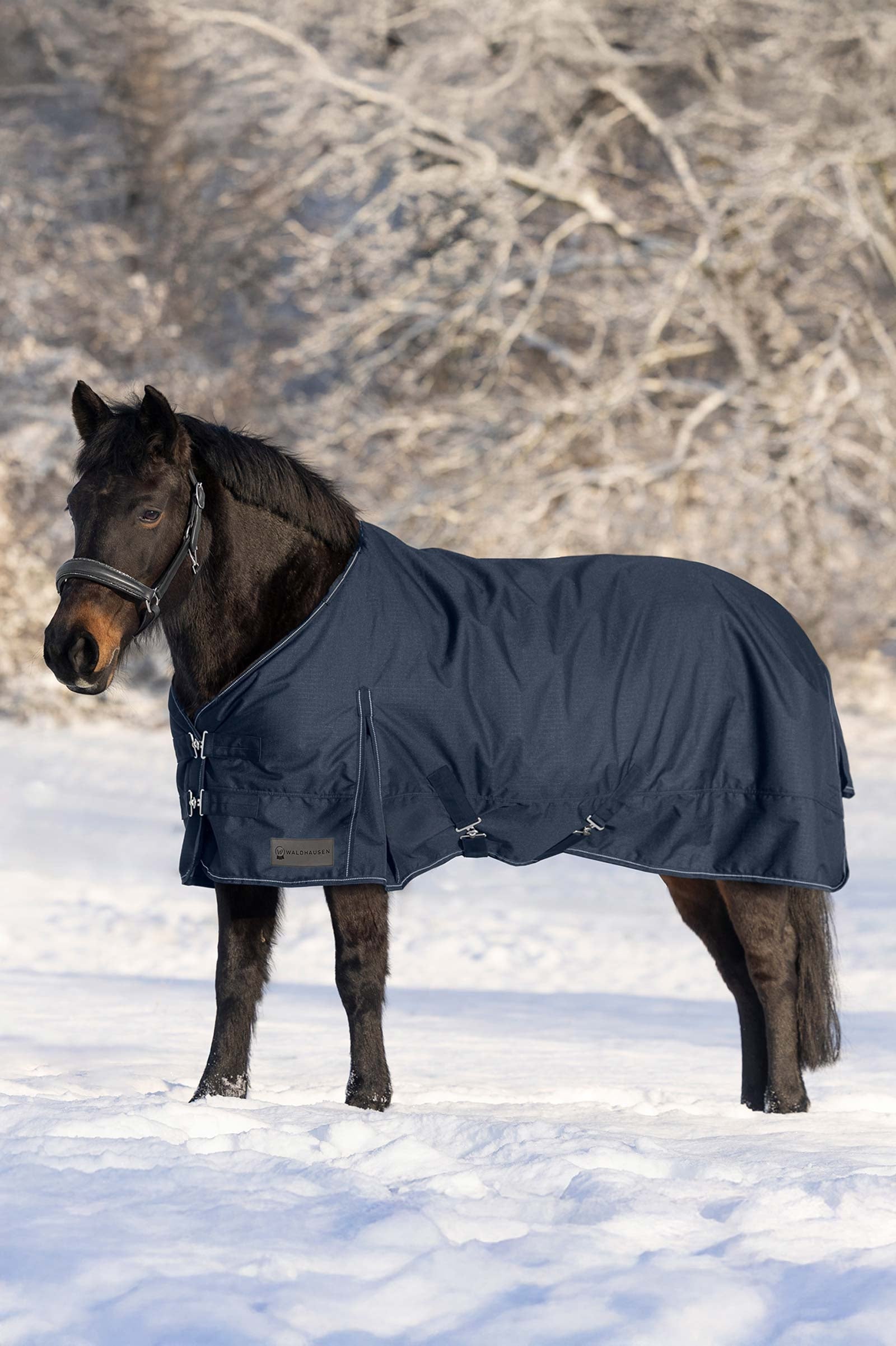 Waldhausen Nordic Turnout Rug, 200 g Horse Rugs
