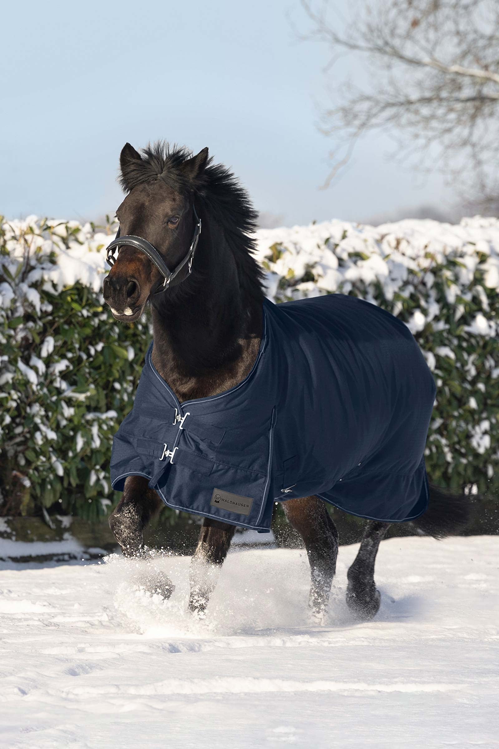 Waldhausen Nordic Turnout Rug, 200 g Horse Rugs