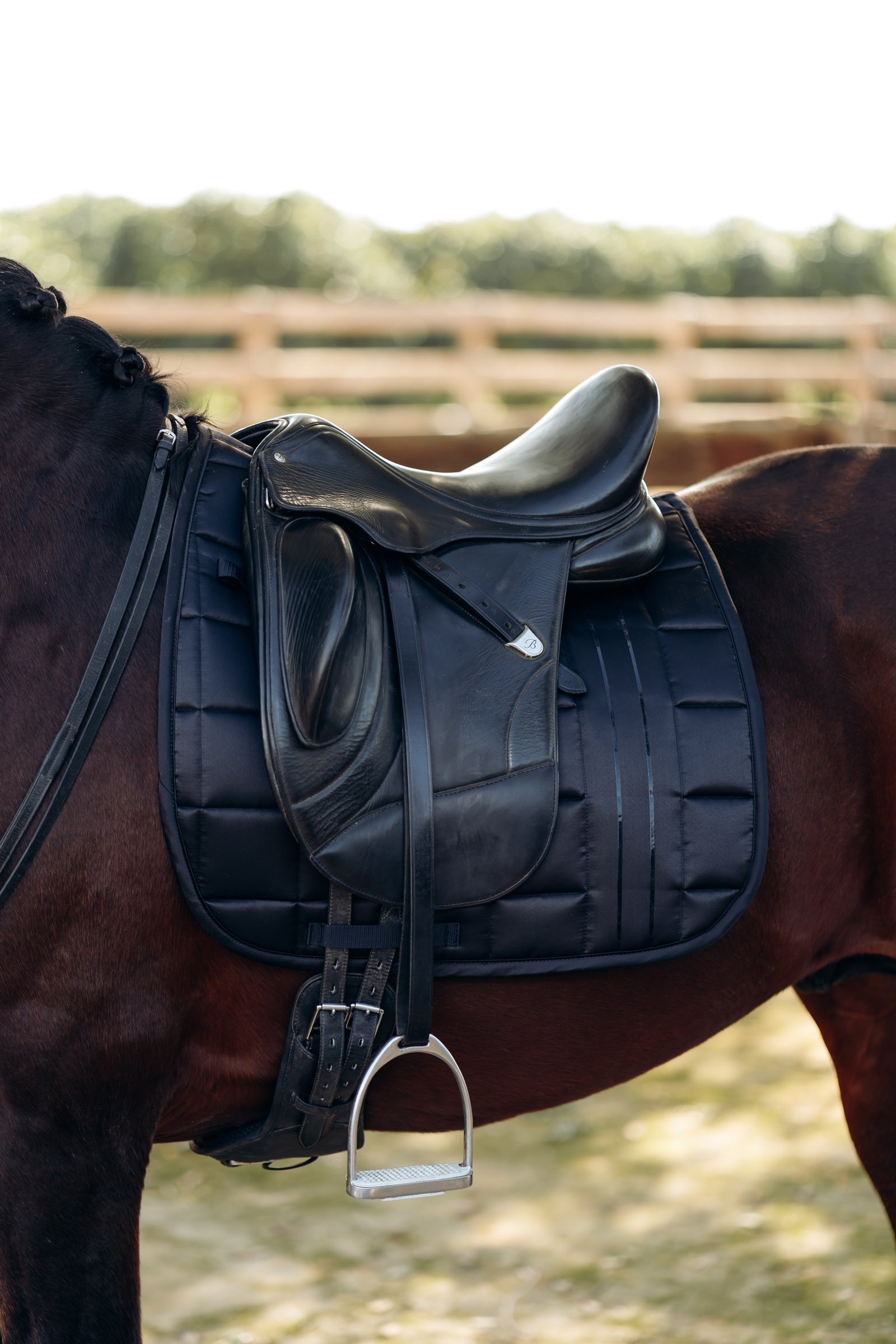 B Vertigo Drew Dressage Saddle Pad Saddle Pads