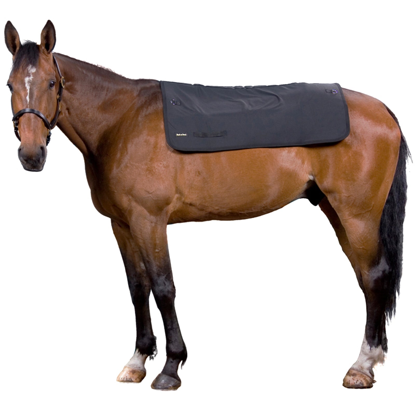 Back on Track Back Warmer, 100cm x 120cm Horse Rugs