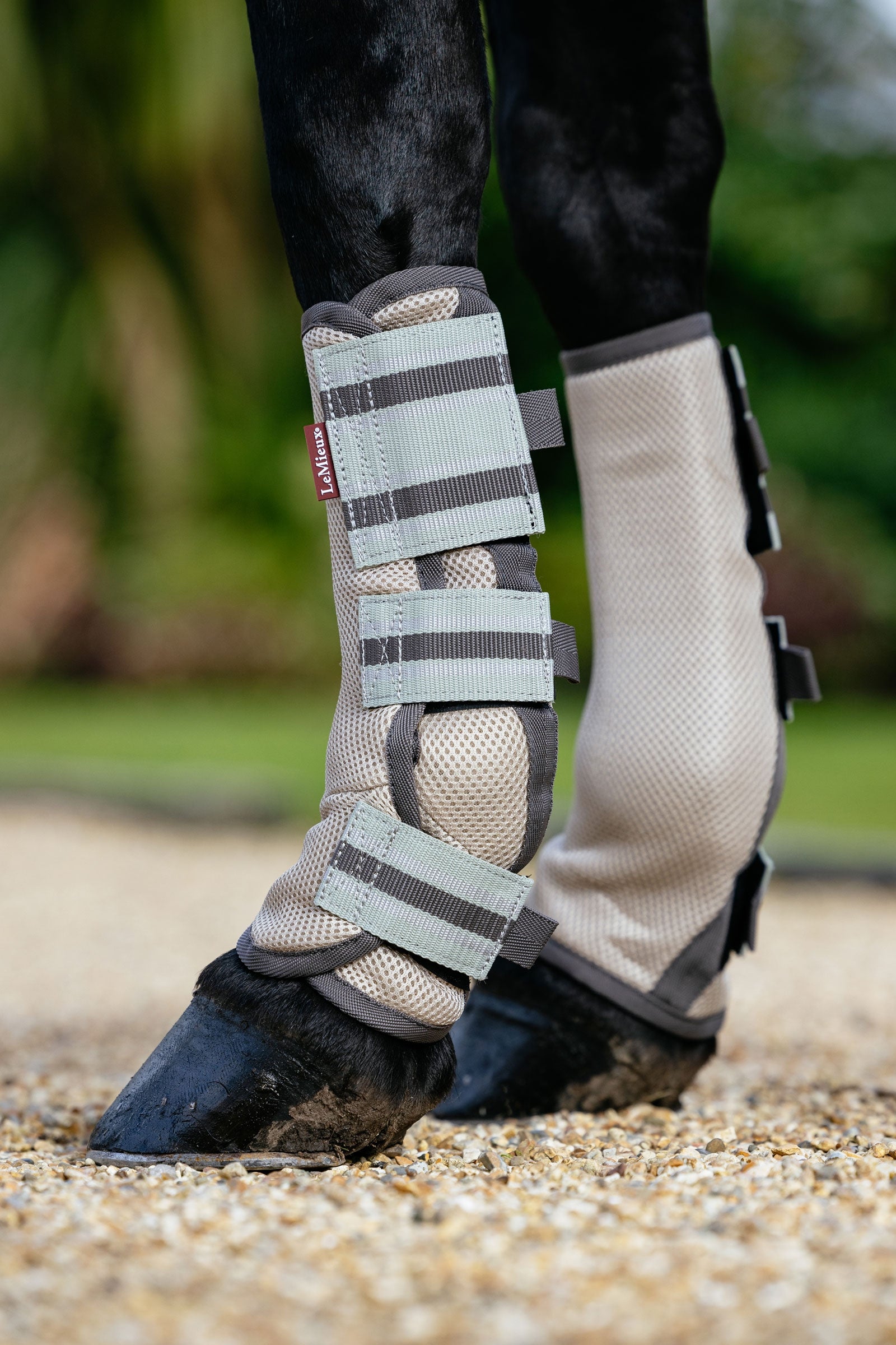 LeMieux Arika Mesh Fly Boots (Set of 4) Antifly Protection for Horses