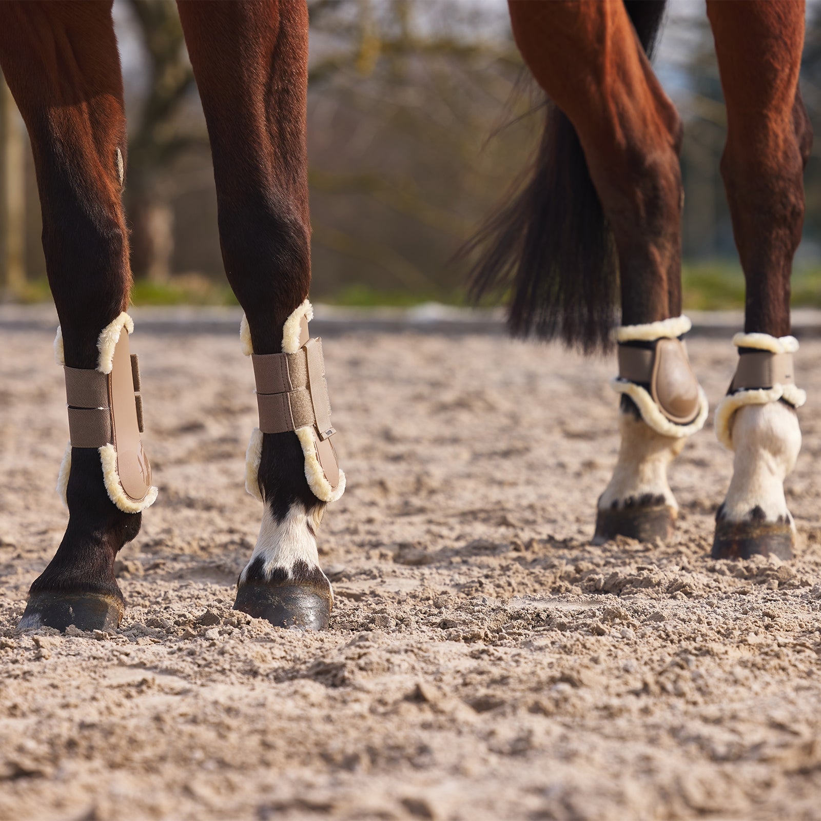 Horze Windsor Fetlock Boots with Faux Fur Lininig Leg Protection & Hoof Protection for Horses