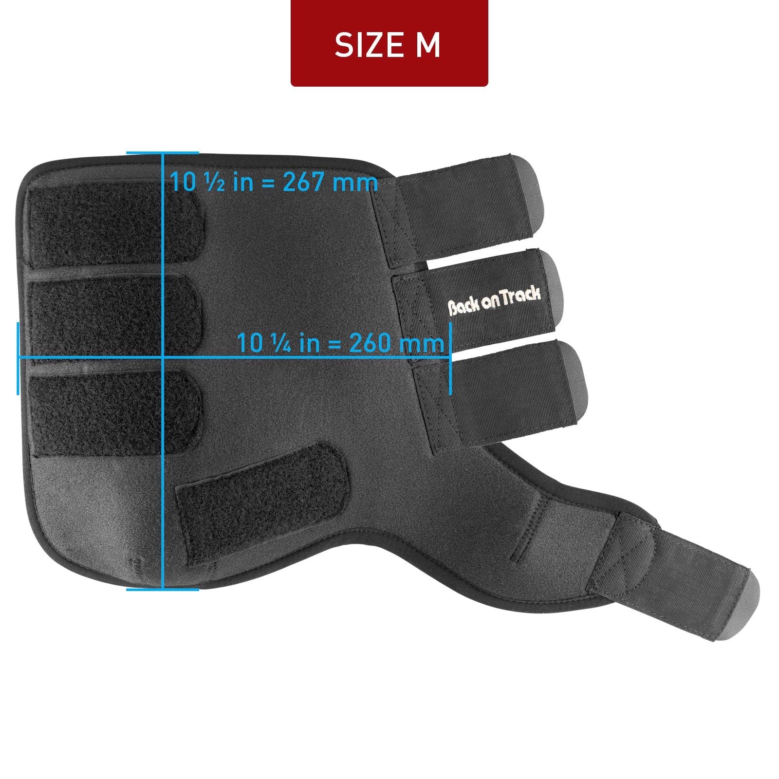 Back on Track Back On Track Exercise Boots, Front Leg Protection & Hoof Protection for Horses