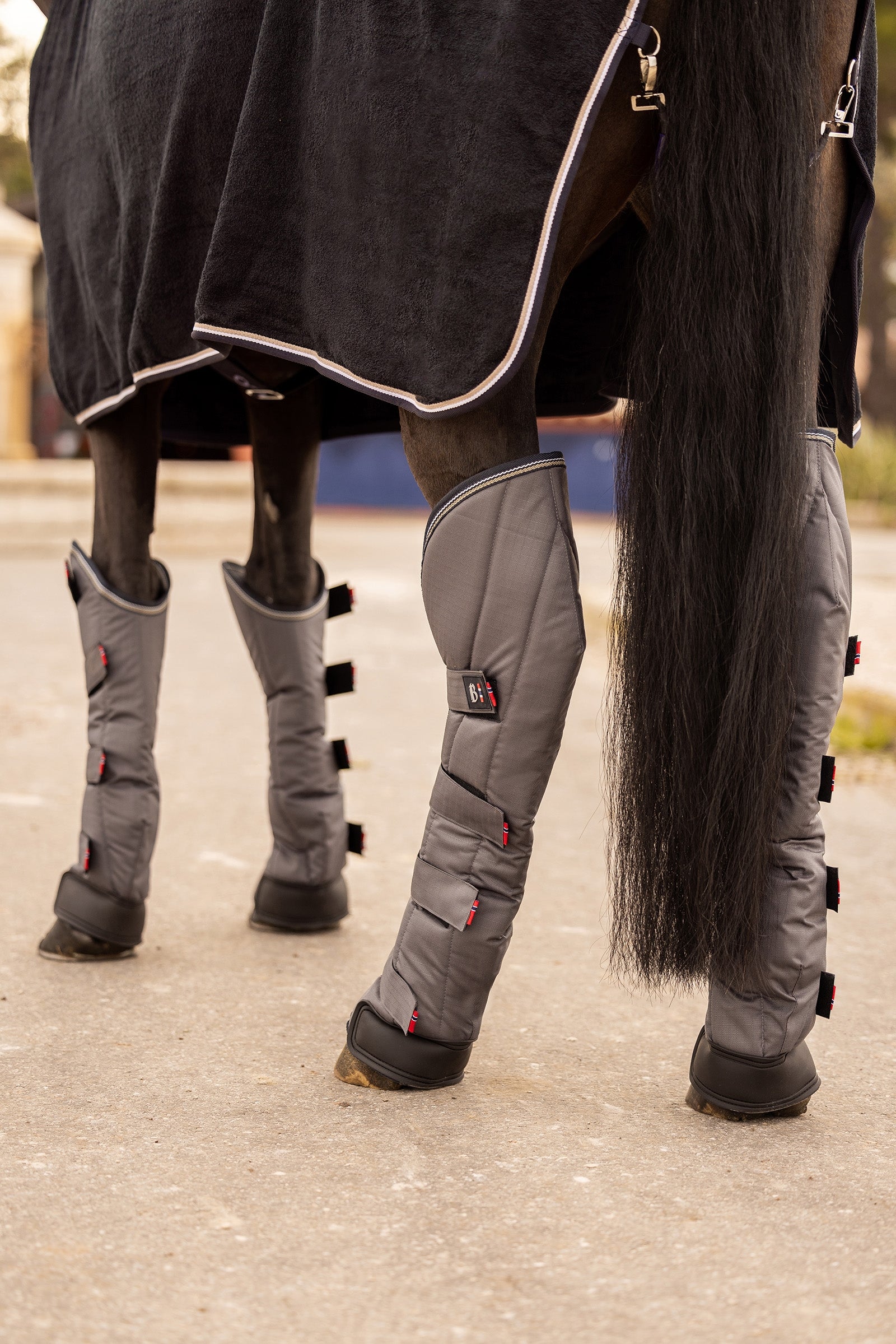B Vertigo Wellington Shipping Boots (Set of 4) Leg Protection & Hoof Protection for Horses