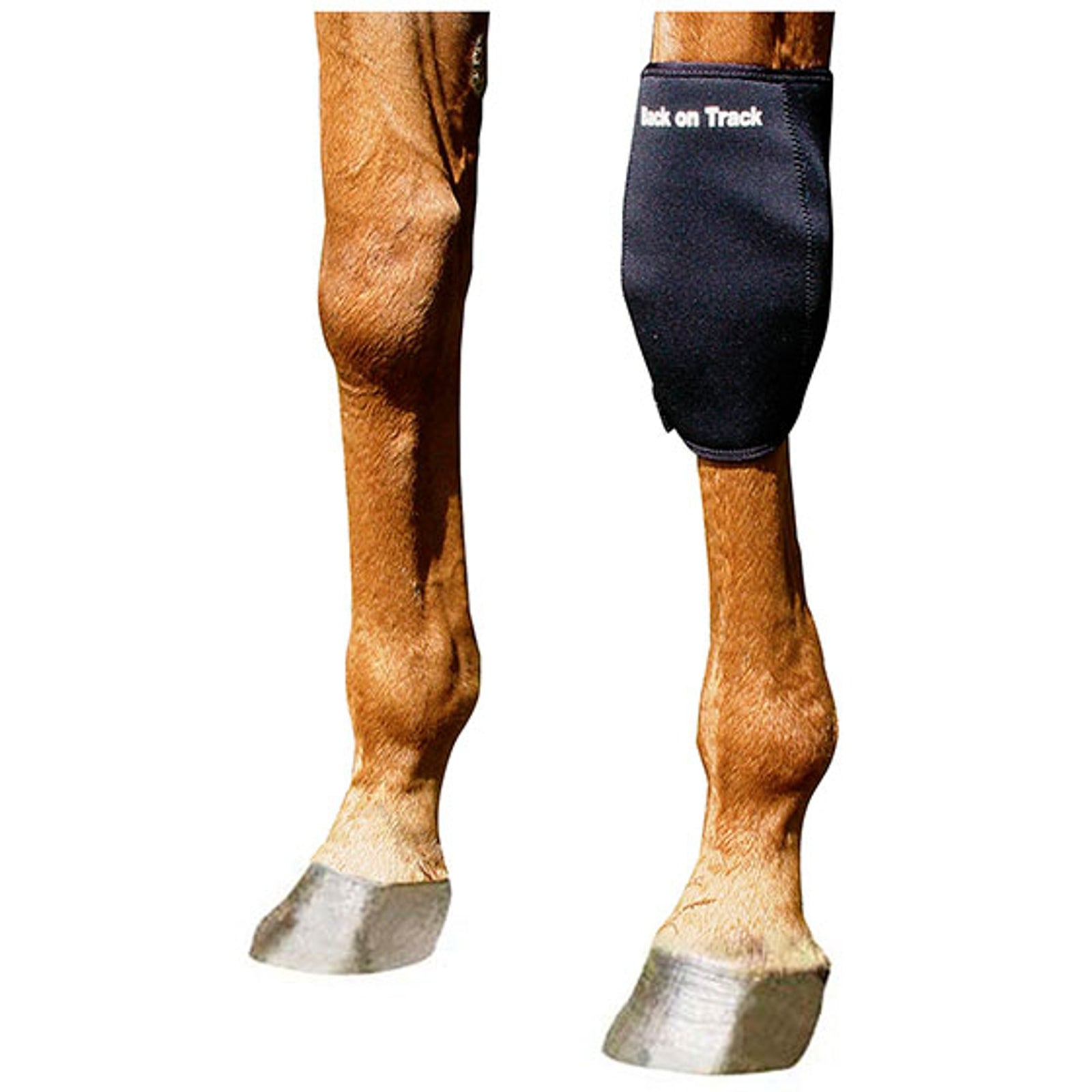 Back on Track Karpalgelenkschoner, links Leg Protection & Hoof Protection for Horses