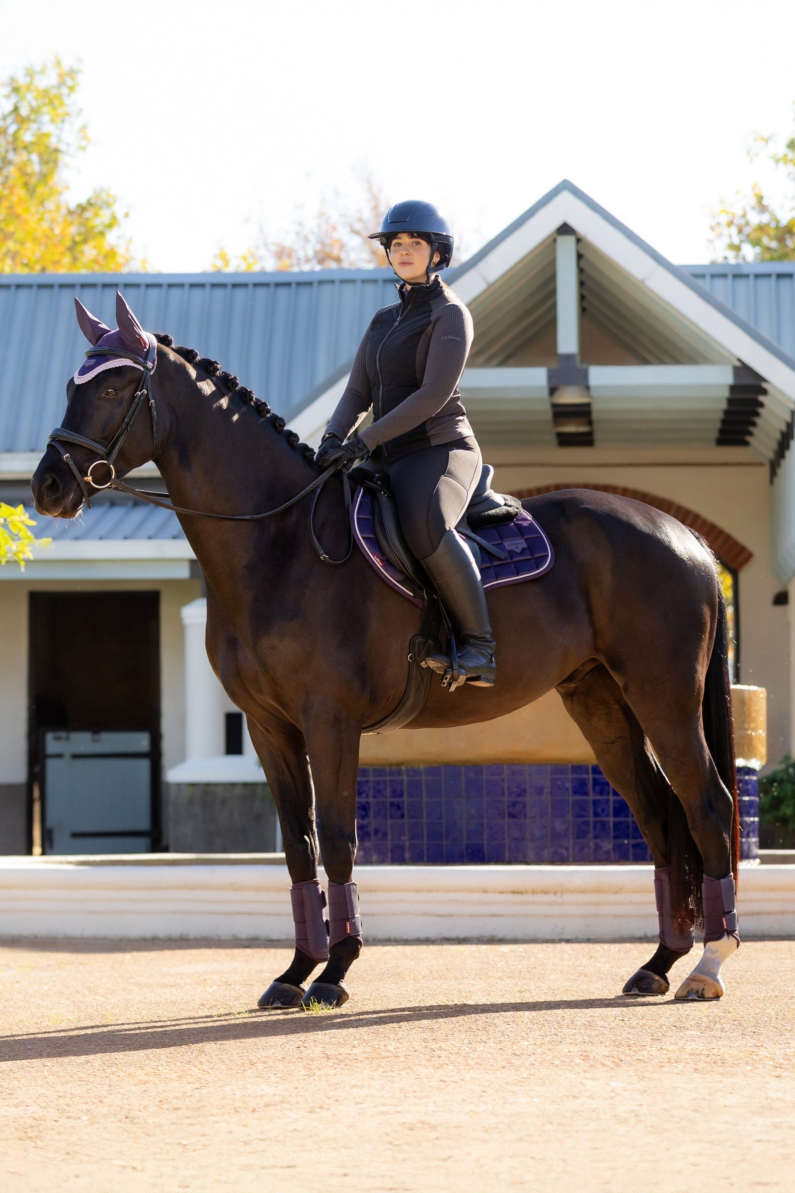 LeMieux Merino+ Loire Classic Close Contact Saddle Pad Saddle Pads