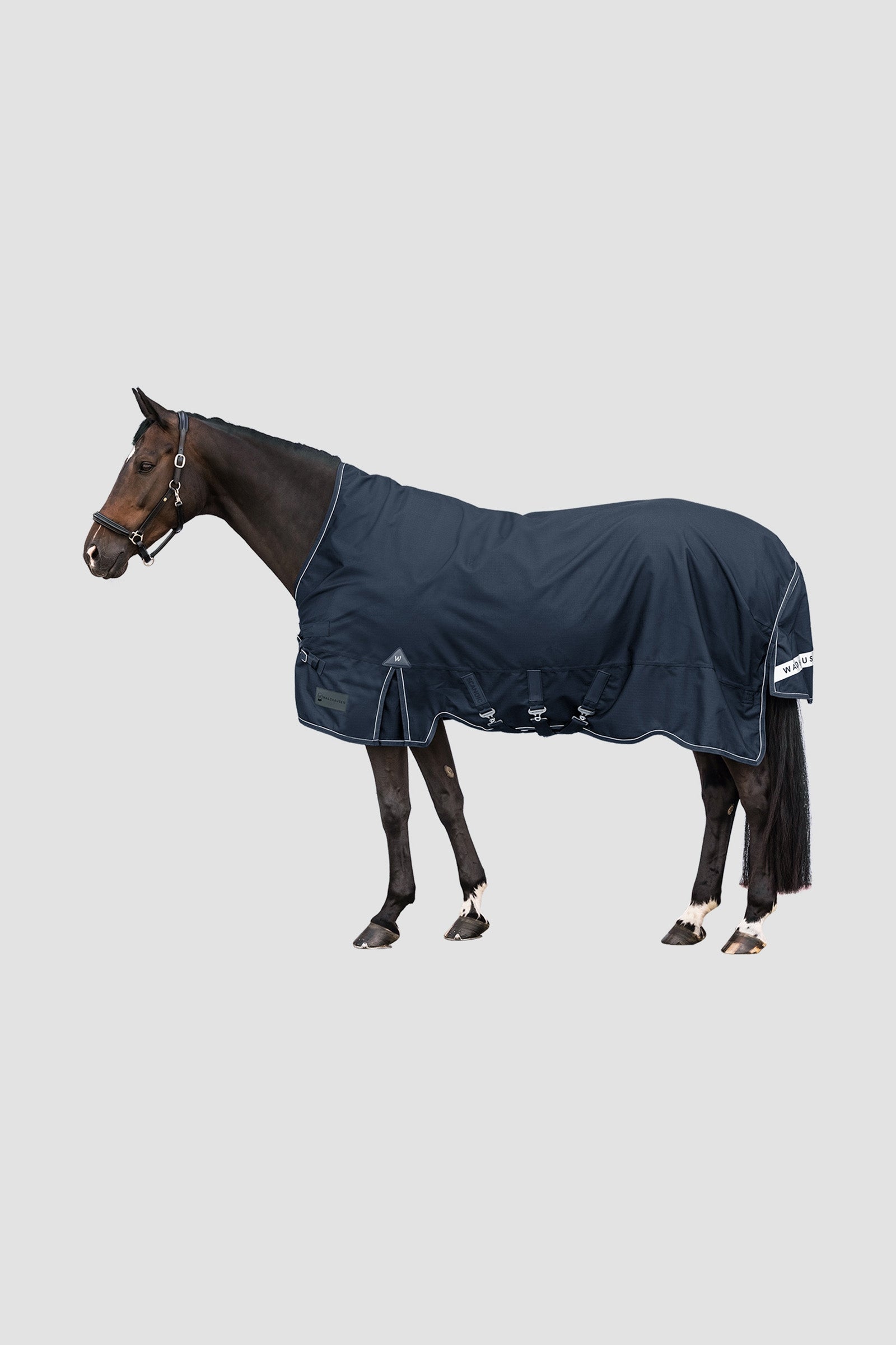 Waldhausen Outdoor Rug Scandic High Neck 100 g Horse Rugs