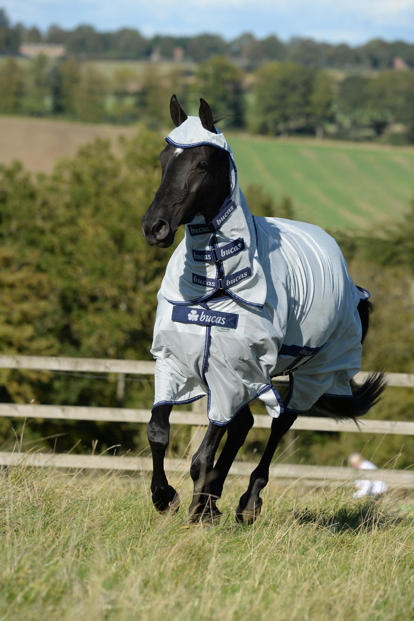 Bucas Buzz-Off X-light Full Neck Fly Rug With Fixed Neck Horse Rugs