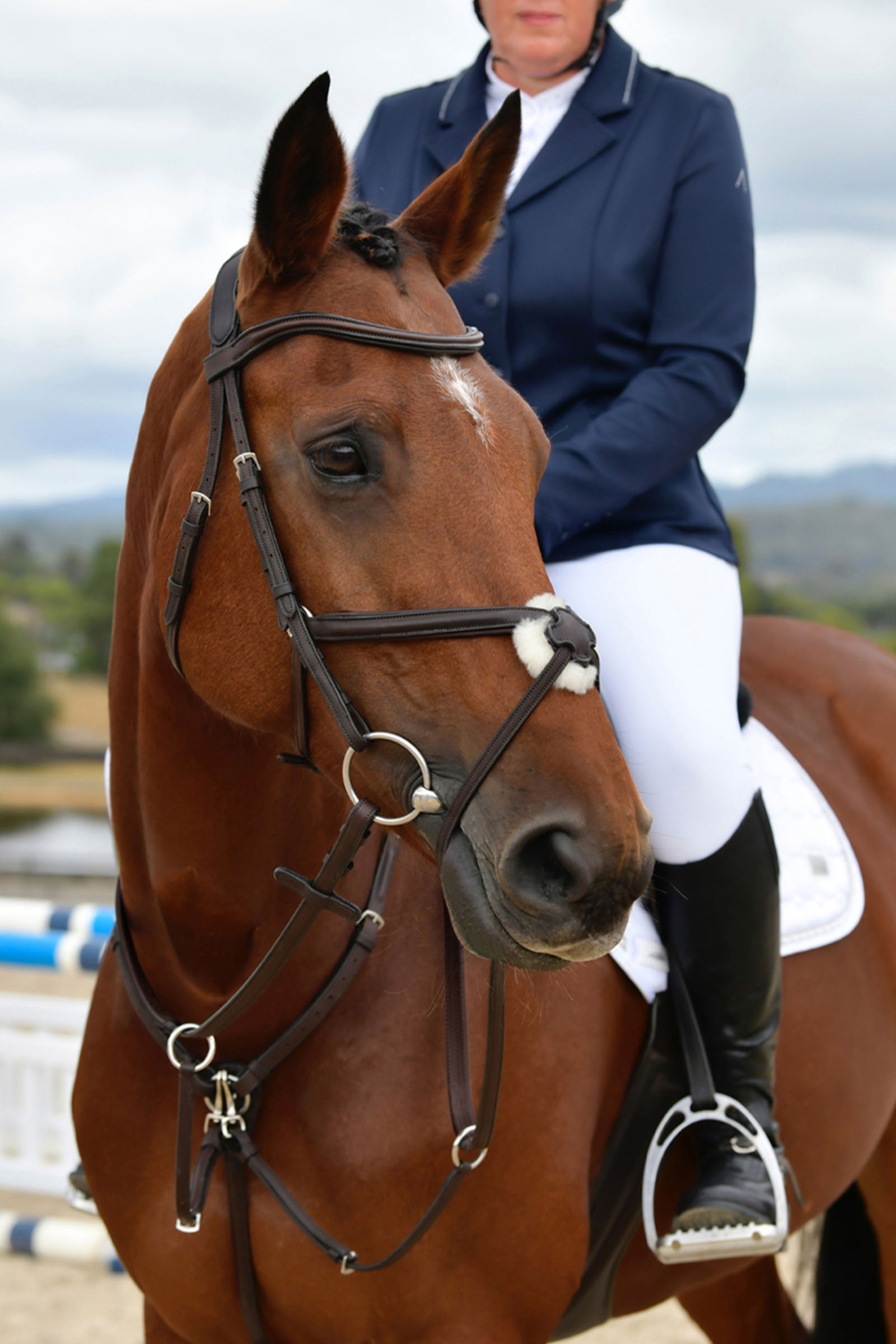 Collegiate Comfitec Opulux Plain Padded Grackle Bridle Bridles & Reins