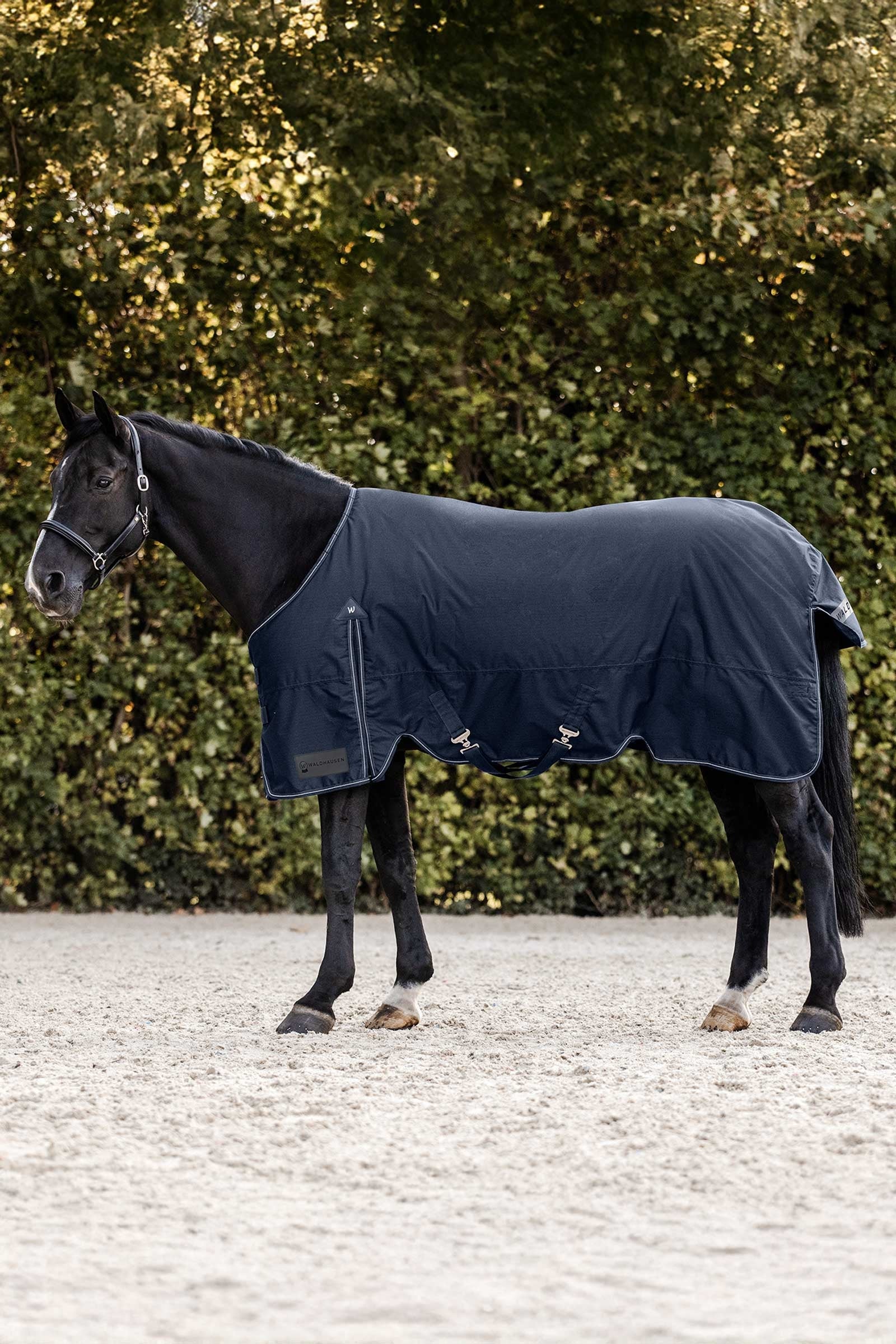 Waldhausen Arctic Turnout Rug, 200 g Horse Rugs