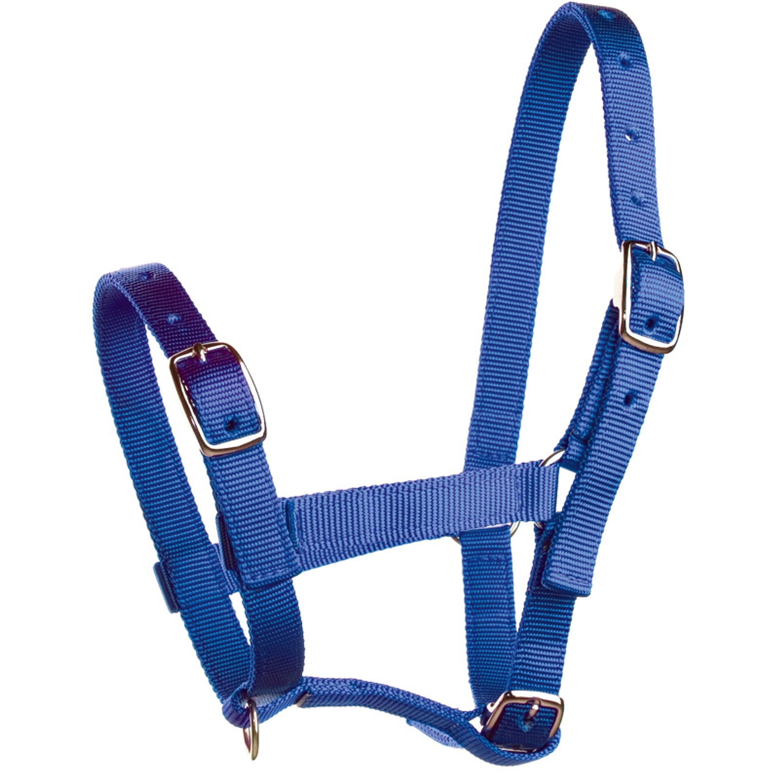 Horze Fohlenhalfter Halfter & Stricke