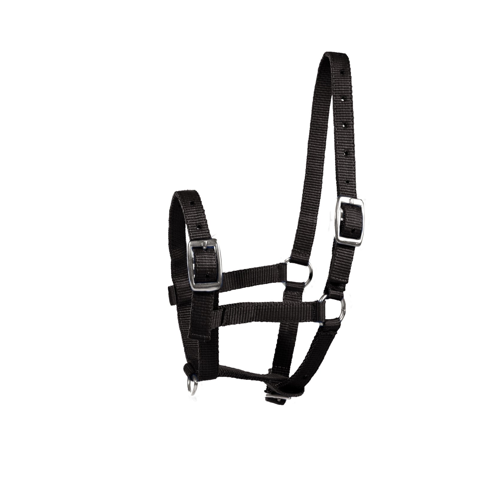 Horze Fohlenhalfter Halfter & Stricke