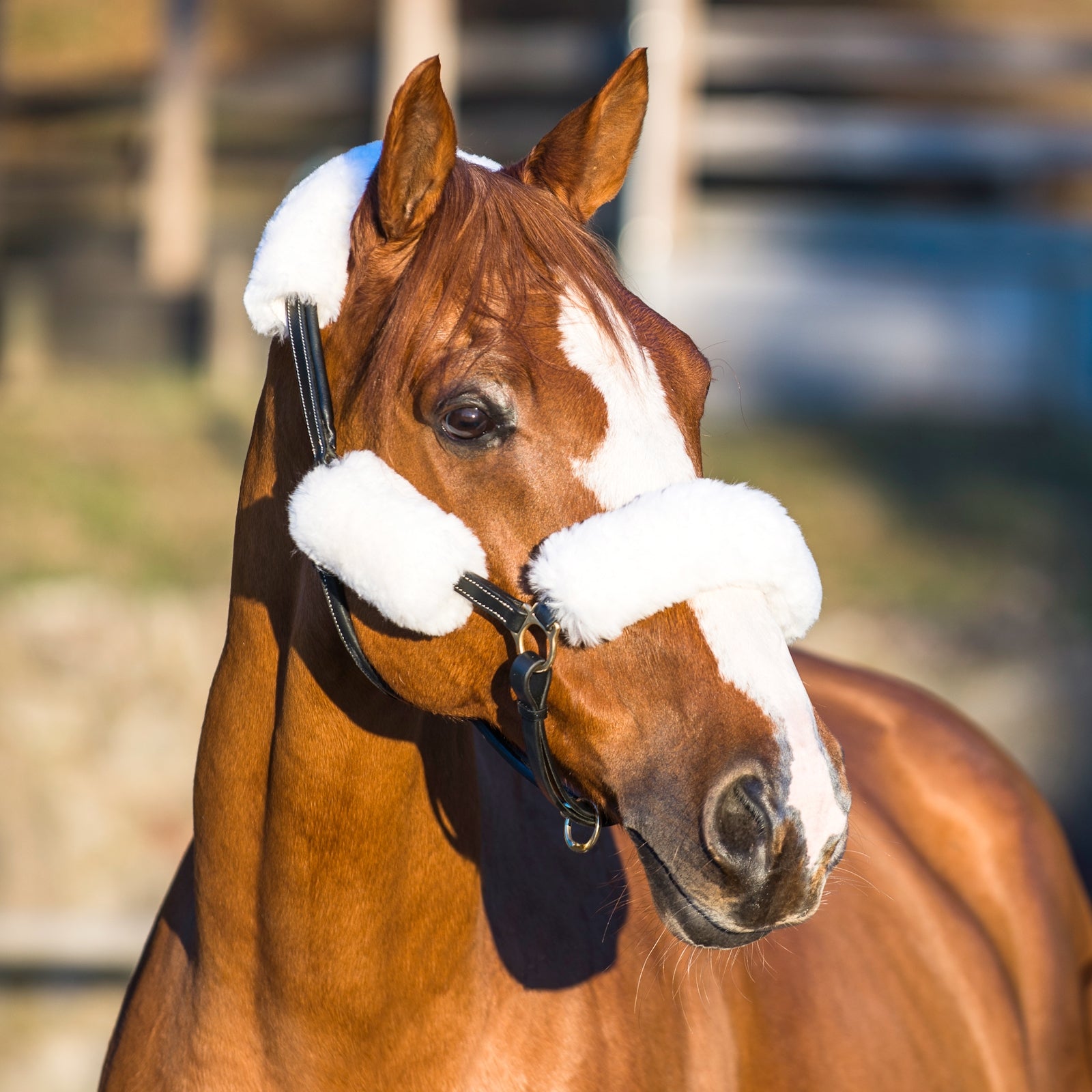 Horze Sheepskin Halter Strap Covers Halters & Leads