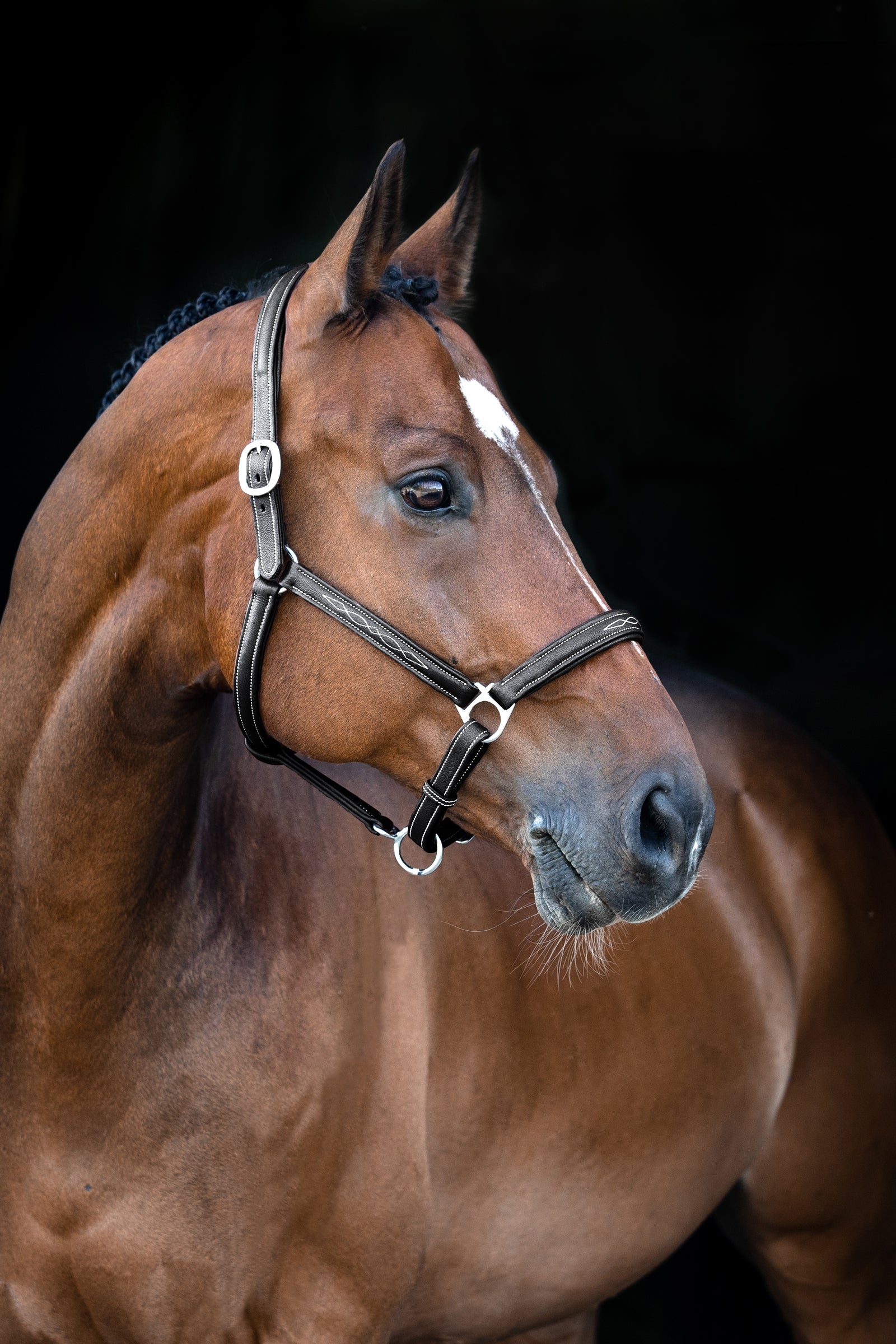 Horze Warren Soft Leather Halter Halters & Leads