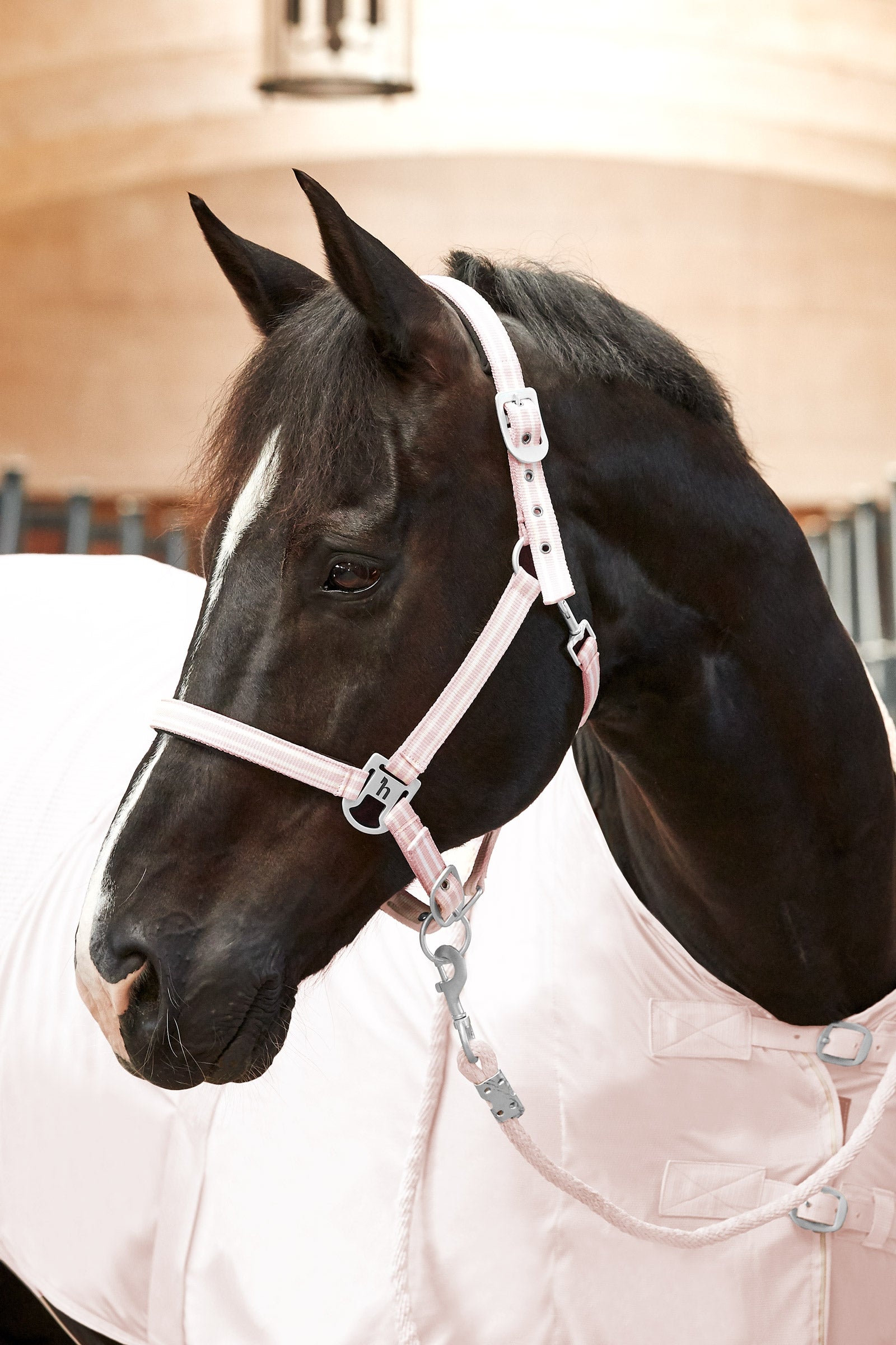 Horze Bari Halter & Lead Set Halters & Leads