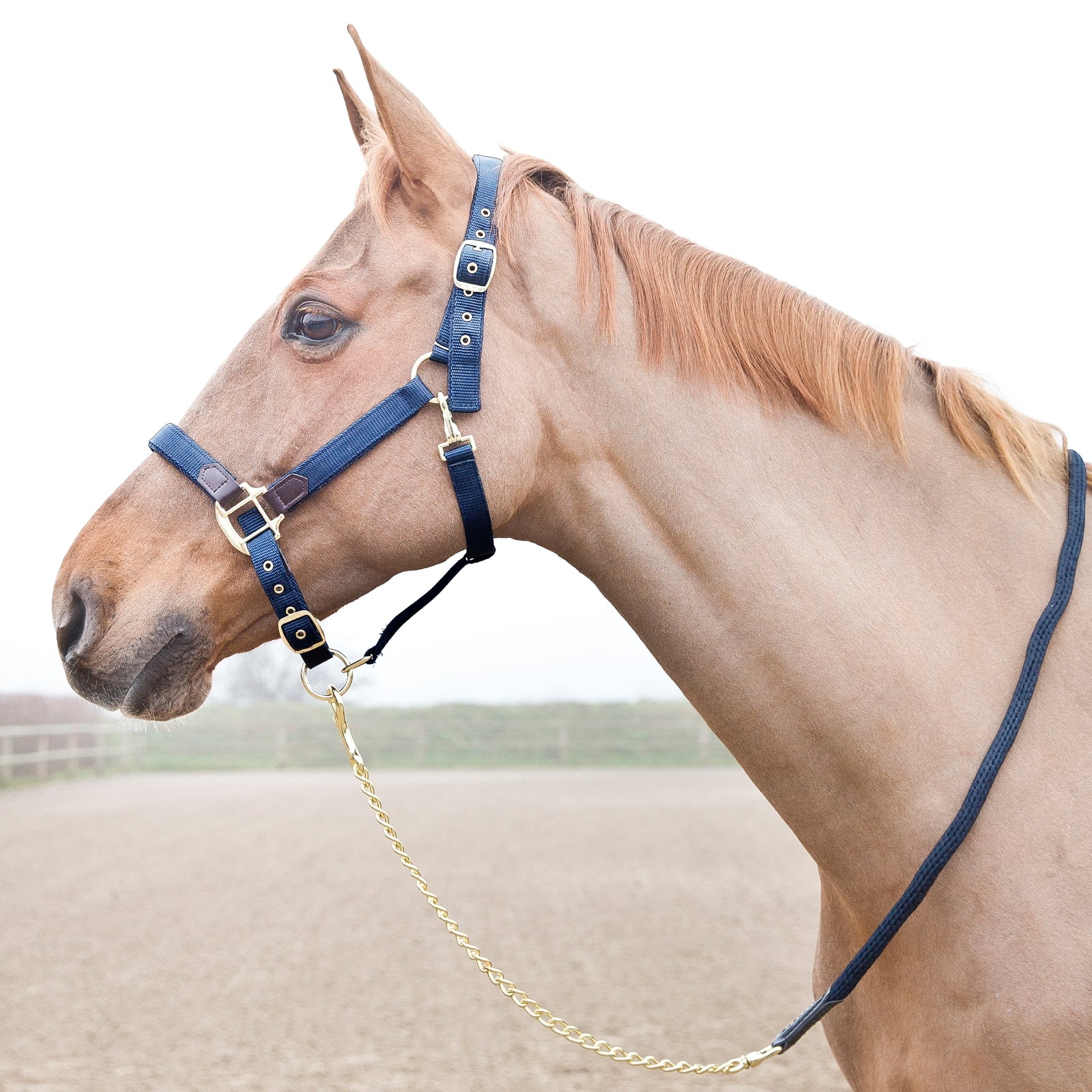 Horze Holbrook Chain Lead Halters & Leads