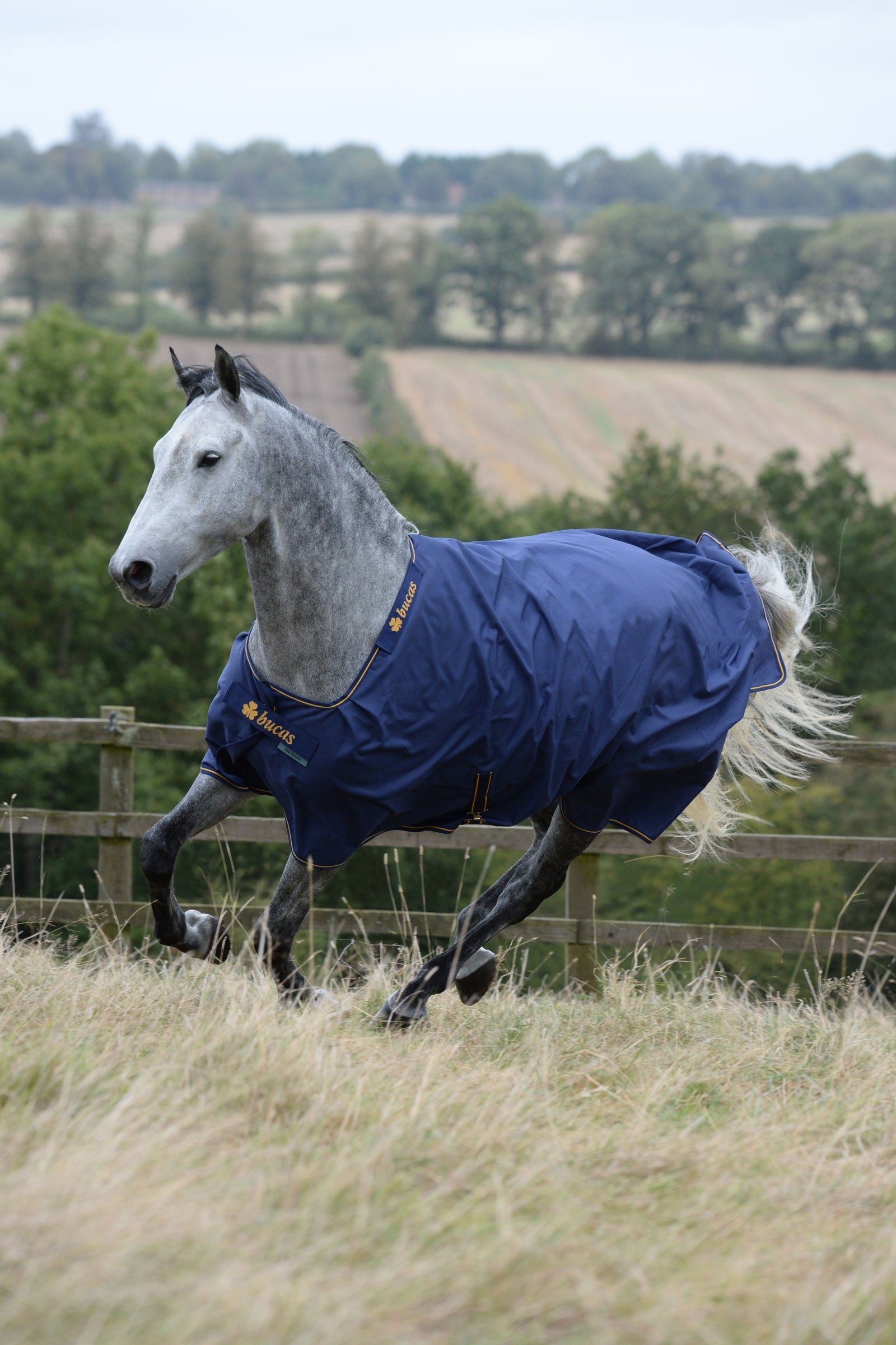 Bucas Irish Pony Turnout Rug, 50g Horse Rugs