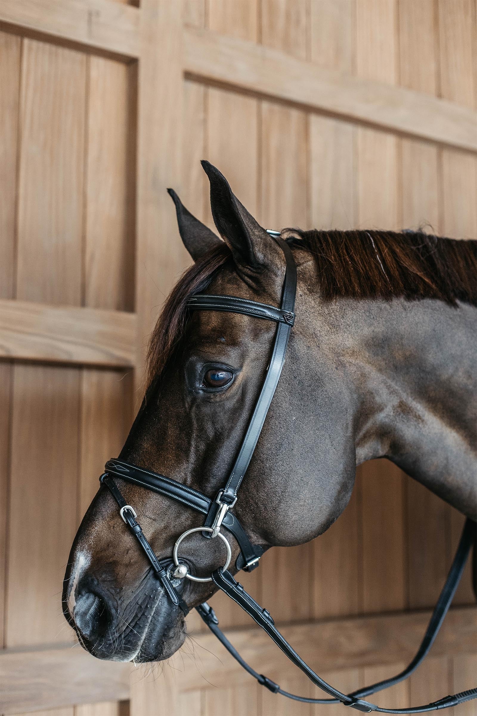 Dy'on Working Training Bridle Bridles & Reins
