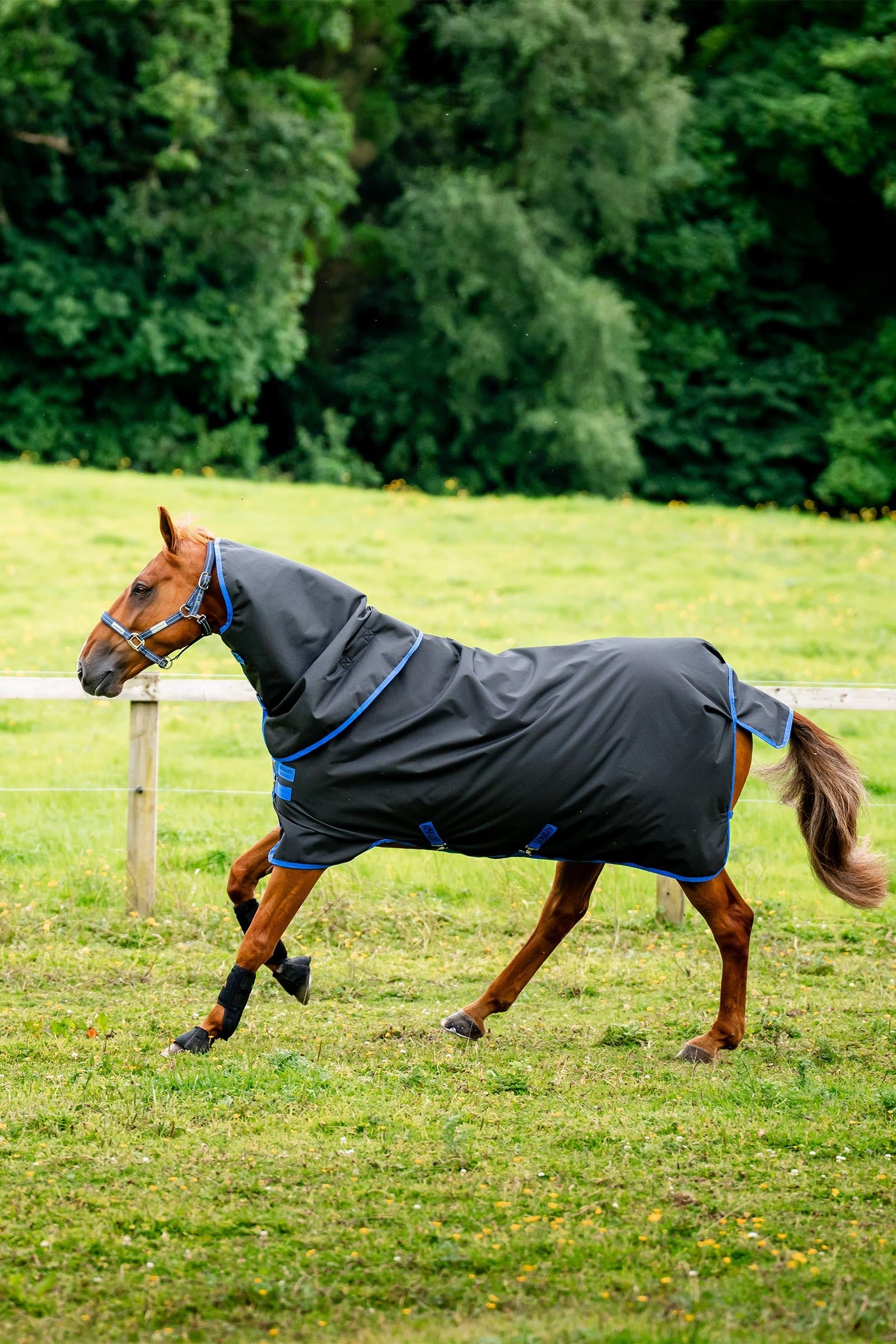 Horseware Amigo Ripstop 900D Plus Turnout Rug, 100 g Horse Rugs