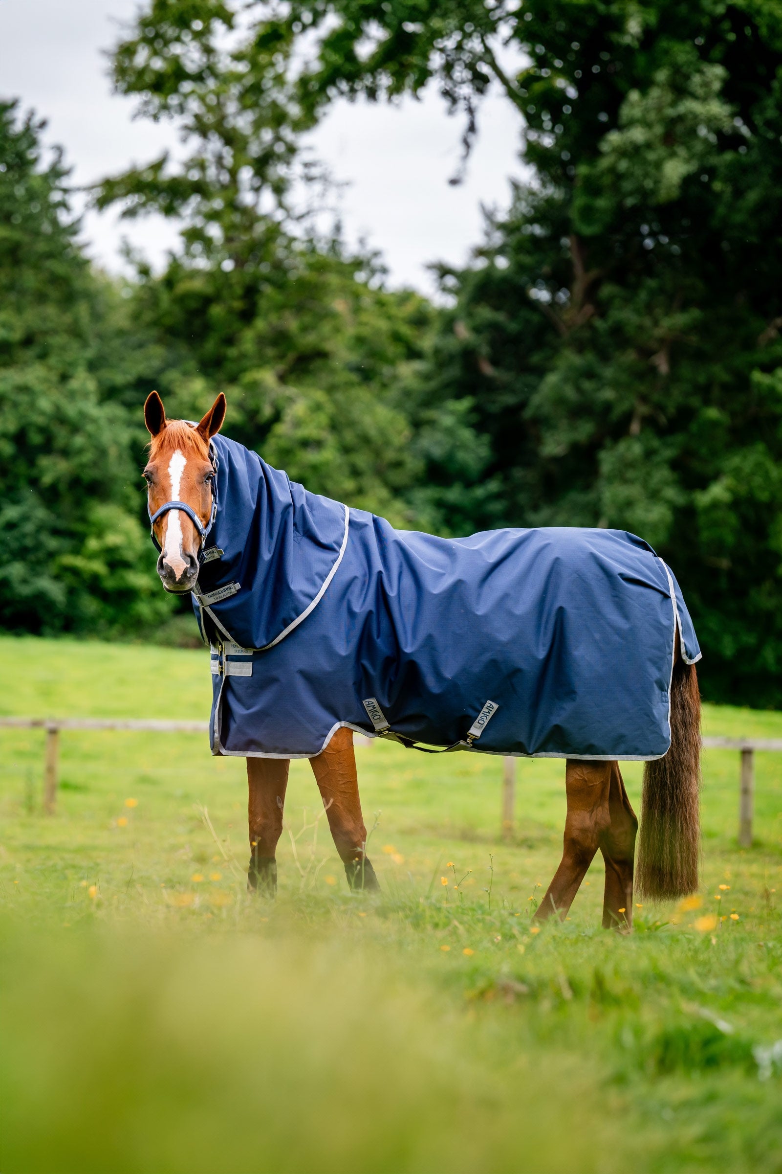 Horseware Amigo Ripstop 900D Plus Weidedecke mit abnehmbarem Halsteil, 100 g Pferdedecken