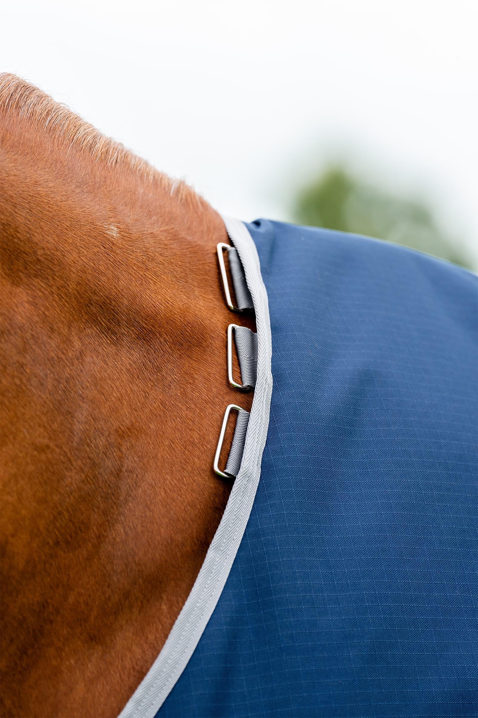 Horseware Amigo Ripstop 900D Plus Turnout Rug, 100 g Horse Rugs