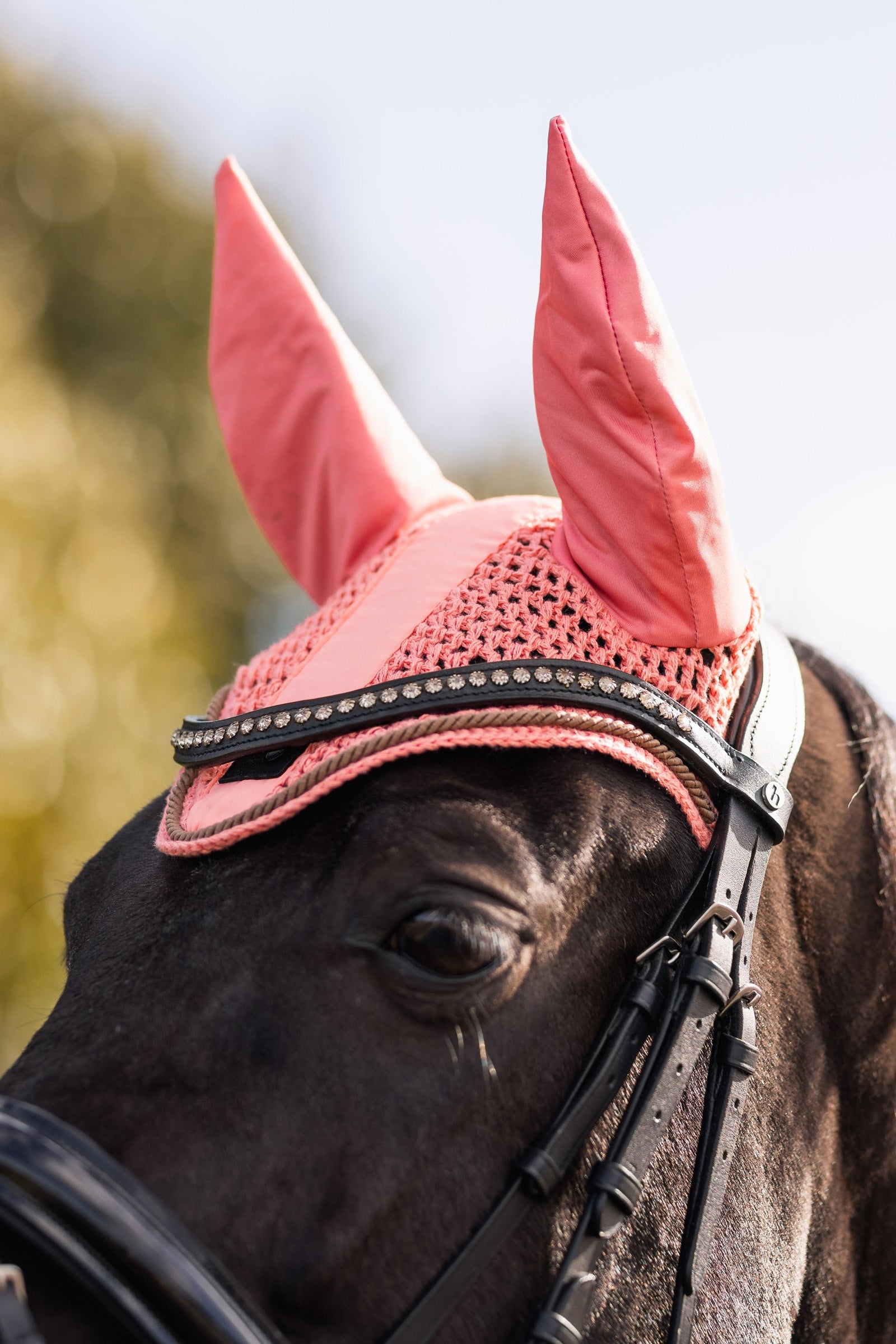 Horze Urban Vitality Ear nets Antifly Protection for Horses
