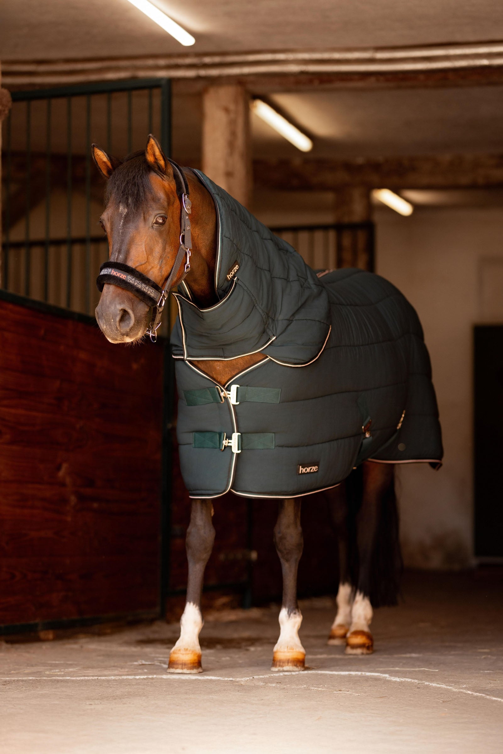 Horze Glasgow Pony Stable Rug Hood Horse Rugs