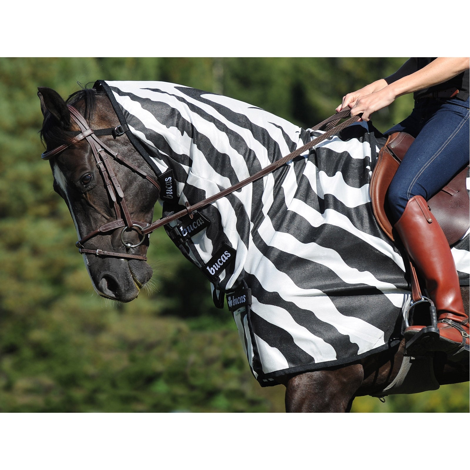 Bucas Buzz-Off Zebra Fly- and Riding Rug Horse Rugs