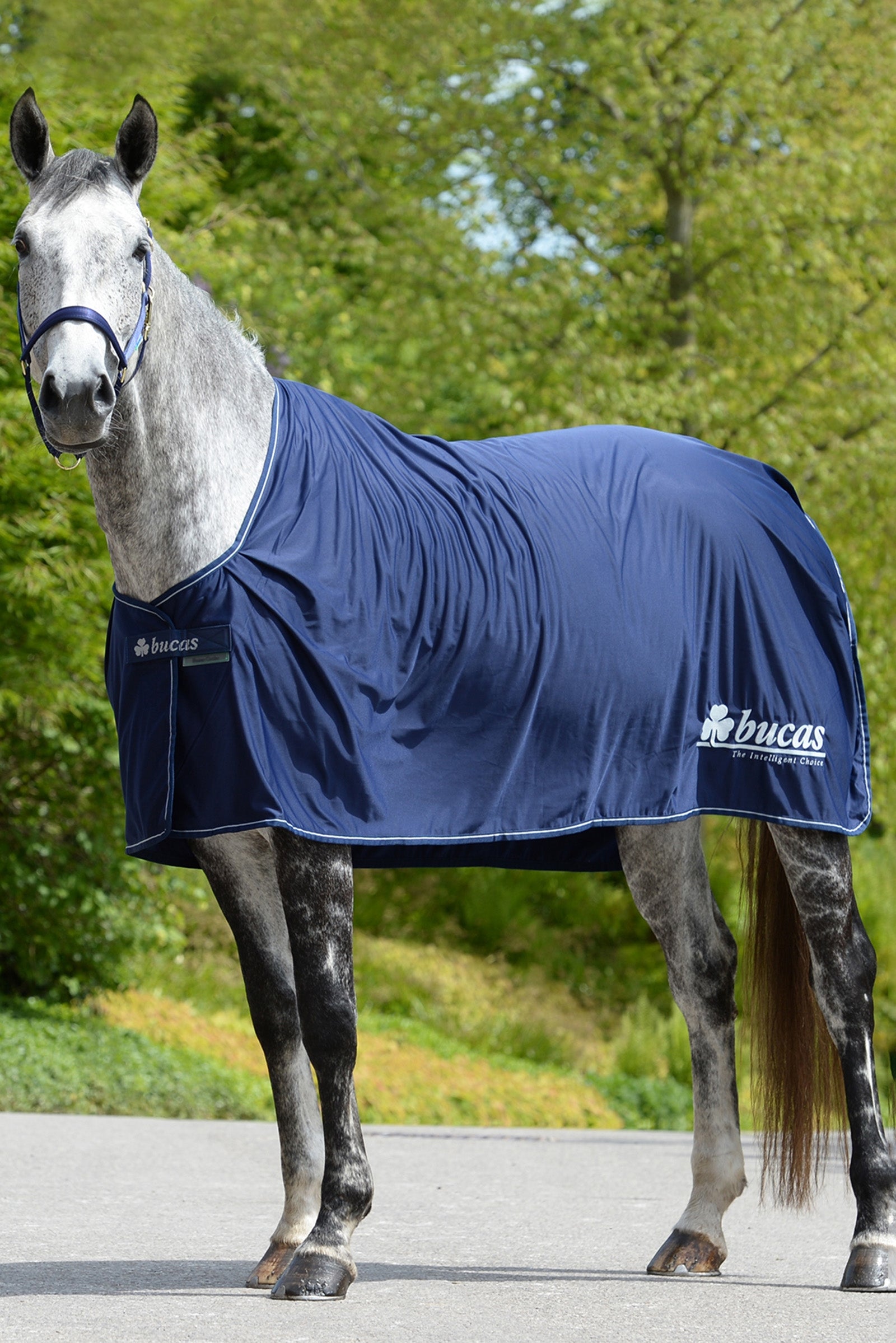 Bucas Power Prize Cooler Abschwitzdecke Pferdedecken