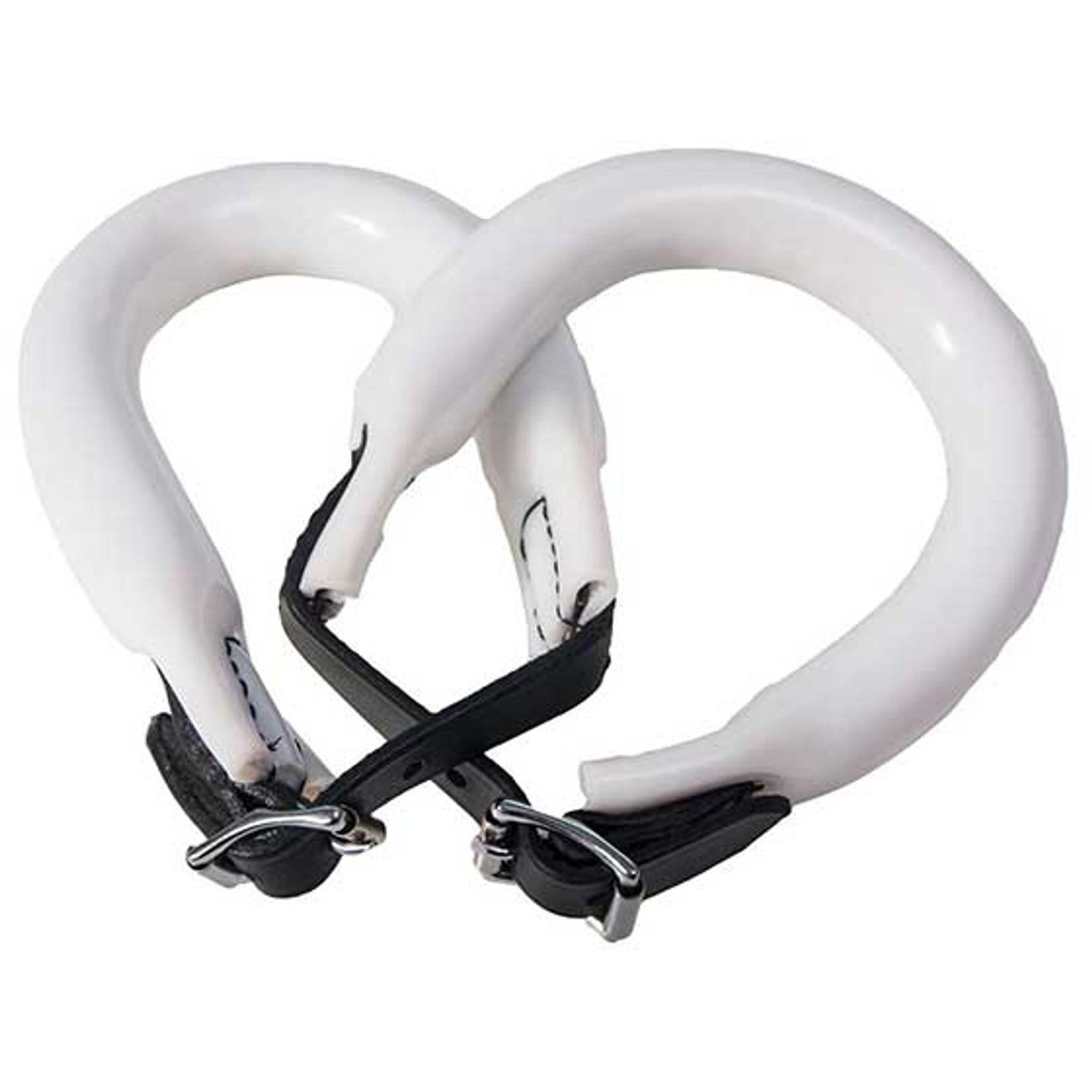 Karlslund Gewichtsringe, 200g Longieren & Bodenarbeit