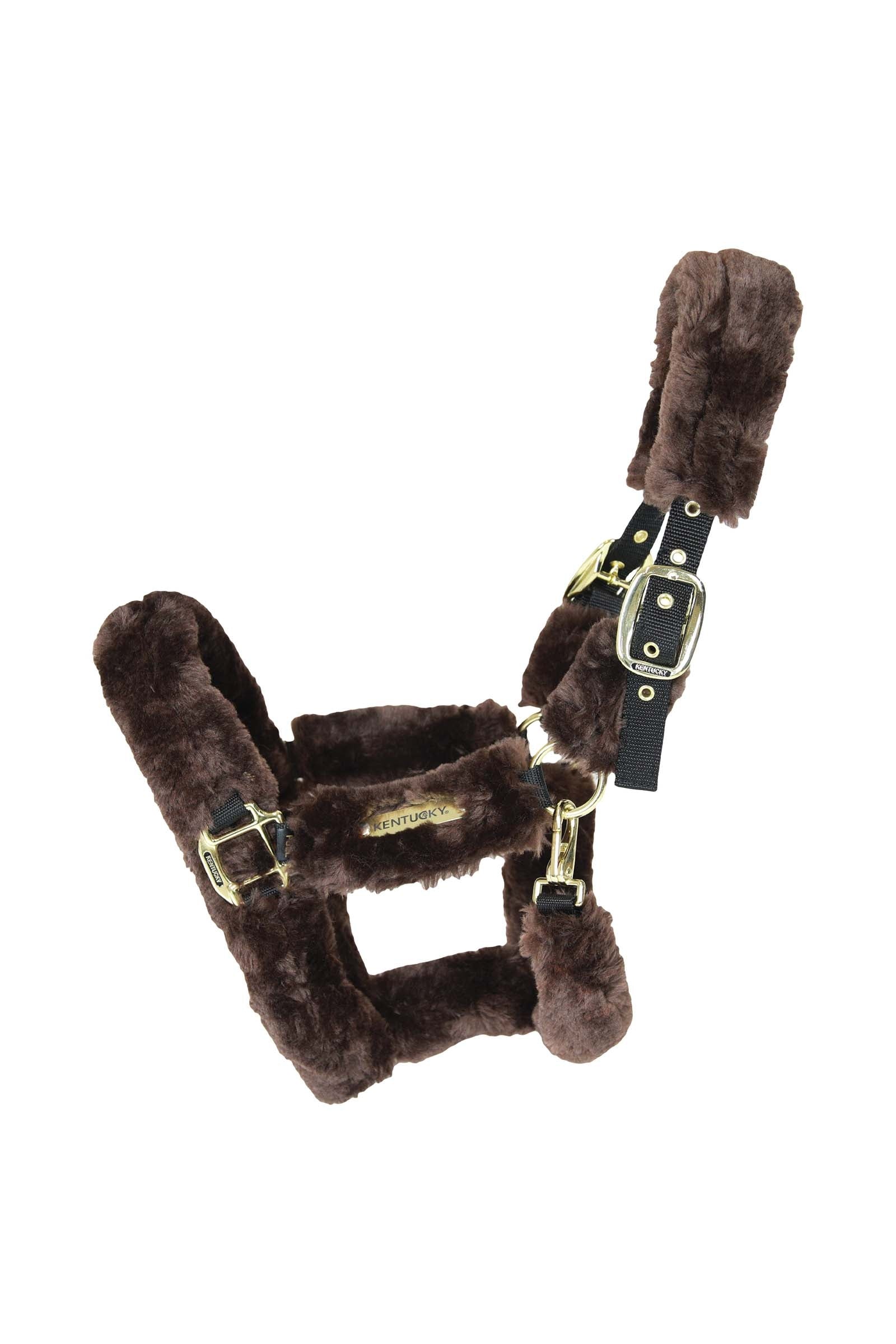 Kentucky Horsewear Lammfell Transport-Halfter Halfter & Stricke