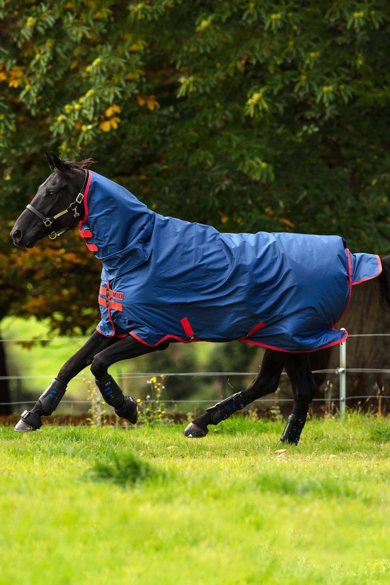 Horseware Mio One Piece Winterdecke mit festem Halsteil, 350g Pferdedecken