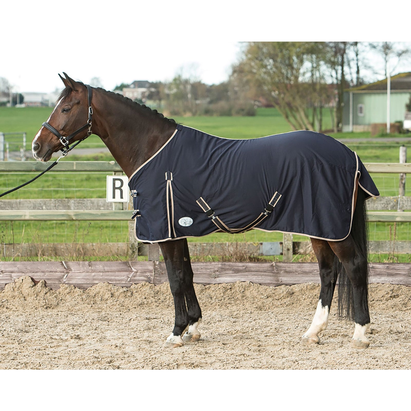 Harry's Horse Honeycomb Sommerdecke Pferdedecken