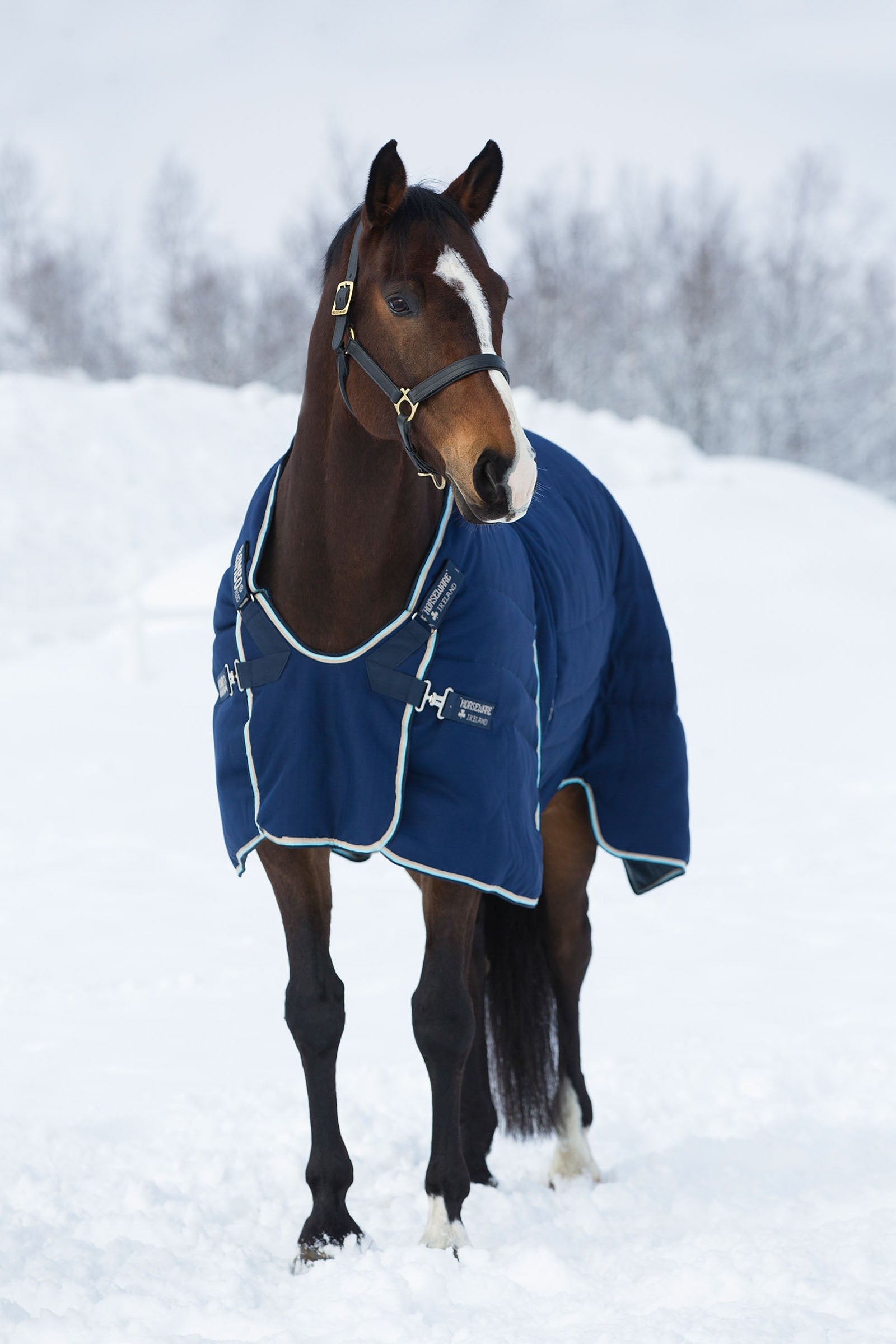 Horseware Rambo Optimo Stalldecke, 400g Pferdedecken