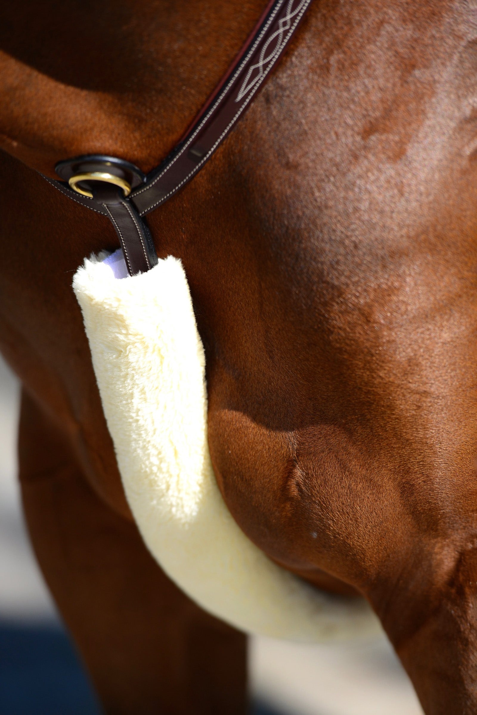 Kentucky Horsewear Lammfell Brustriemen-Schutz Trensenzäume & Zügel