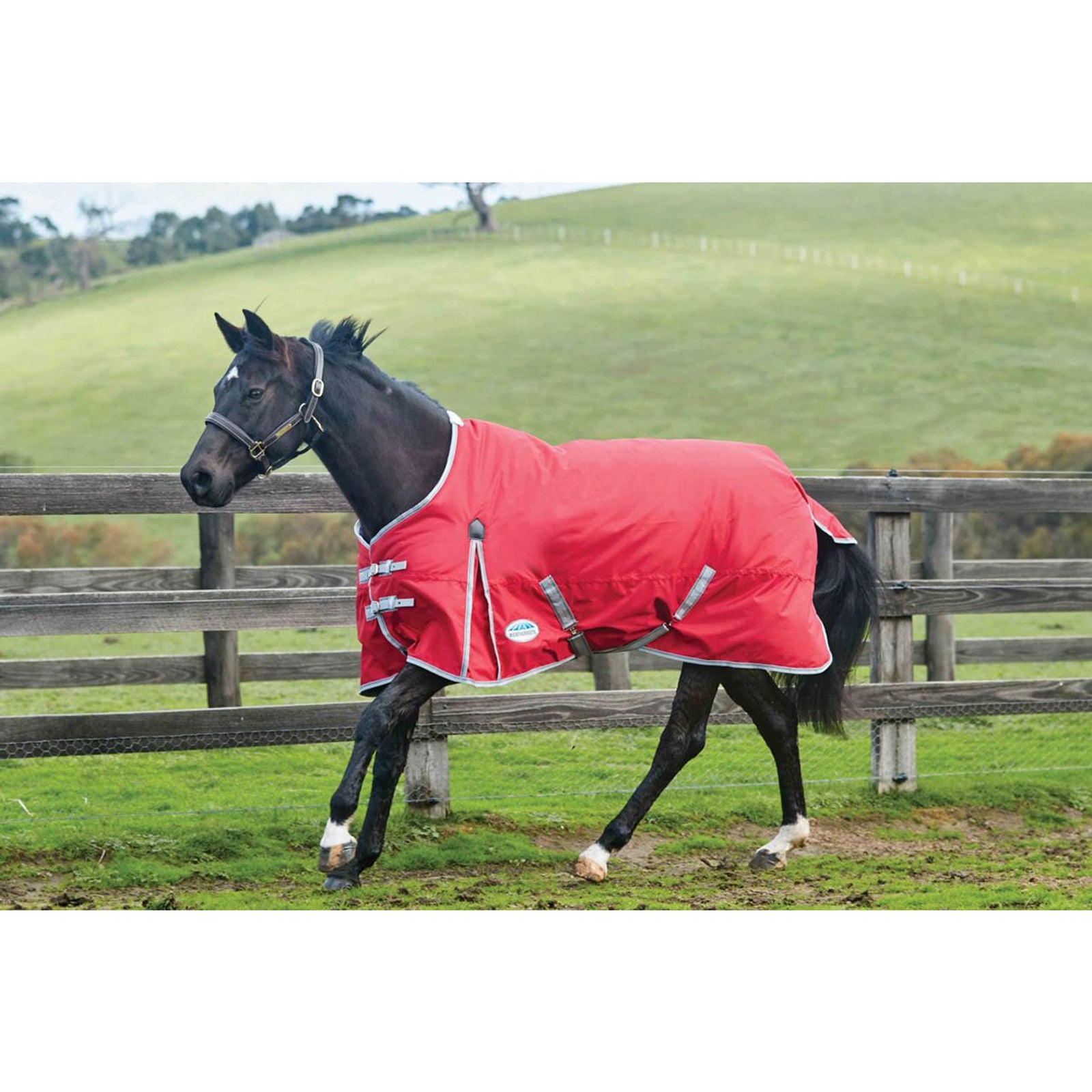 Weatherbeeta Comfitec Classic Turnout Rug, 220g Horse Rugs