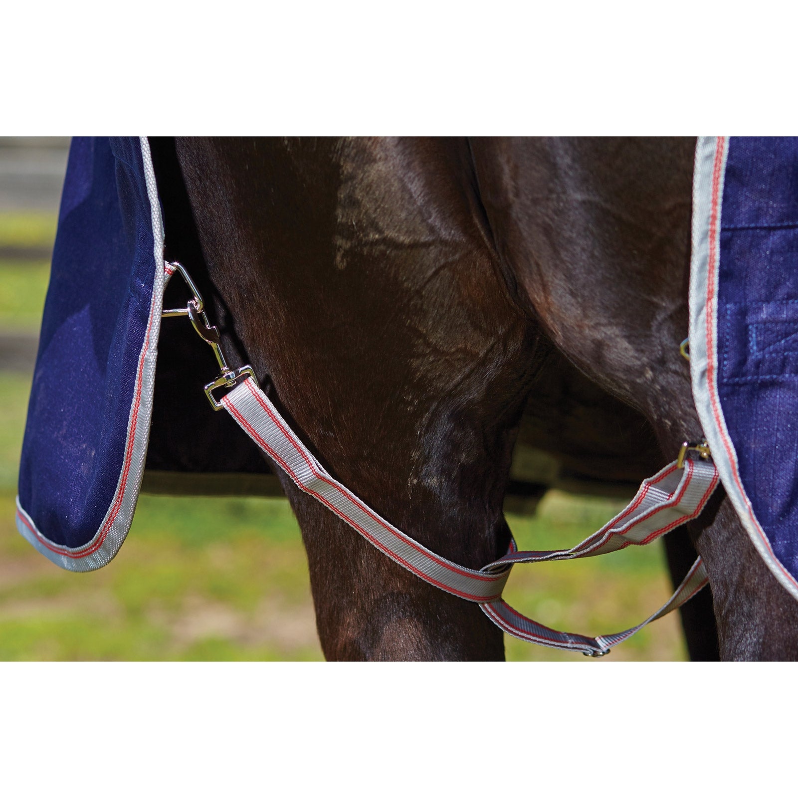 Weatherbeeta Comfitec Essential Turnout Rug, 0g Horse Rugs