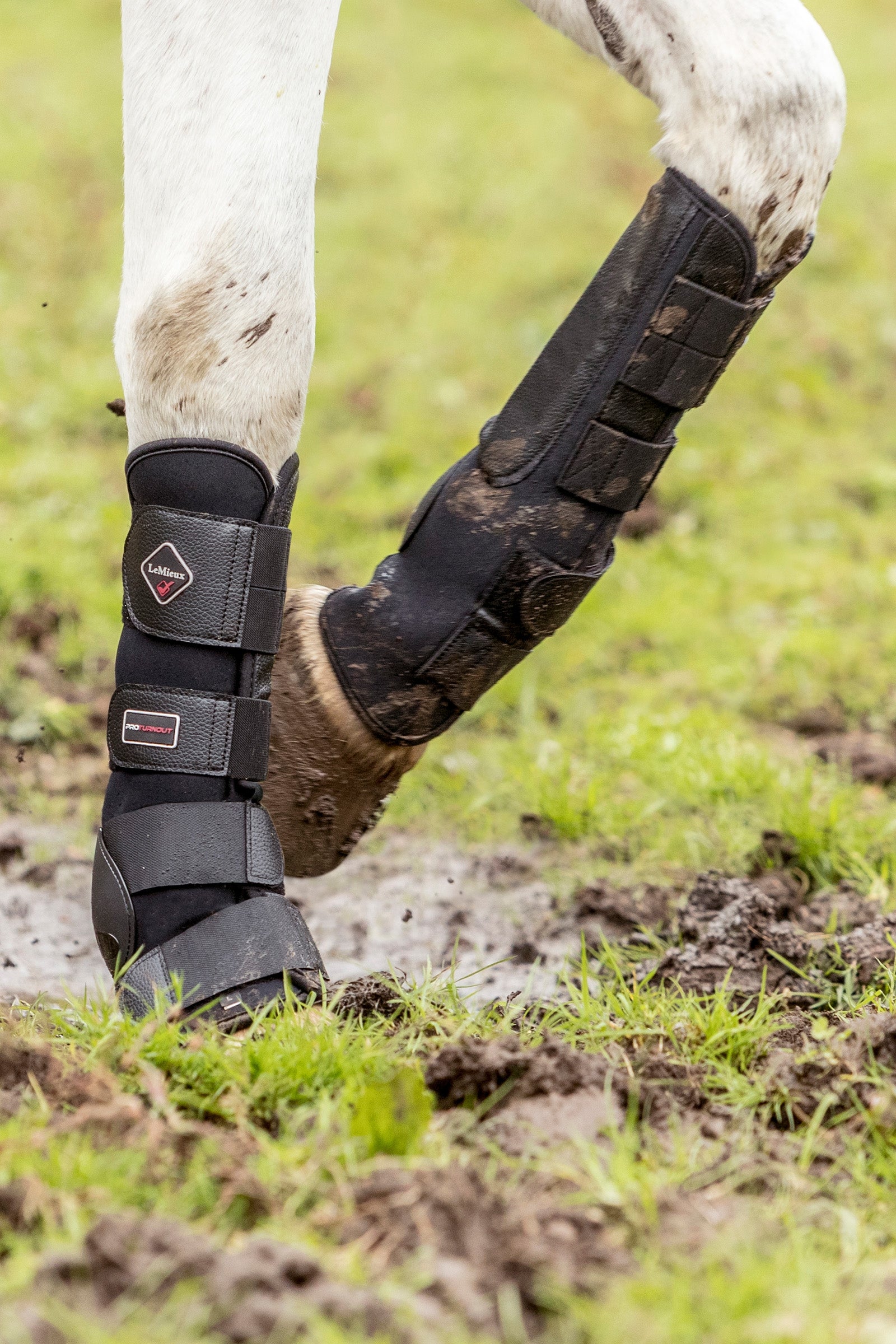 LeMieux Turnout Boots Leg Protection & Hoof Protection for Horses