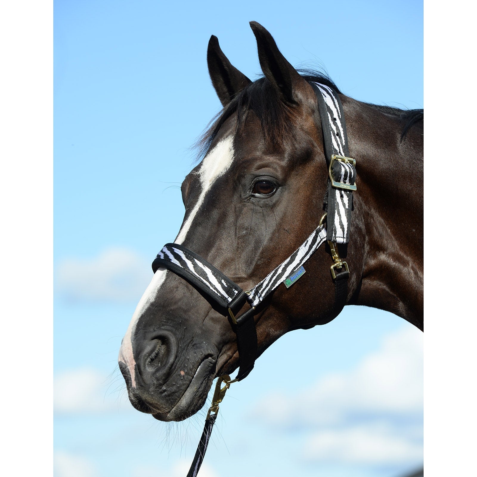 Bucas Comfort Halfter Halfter & Stricke