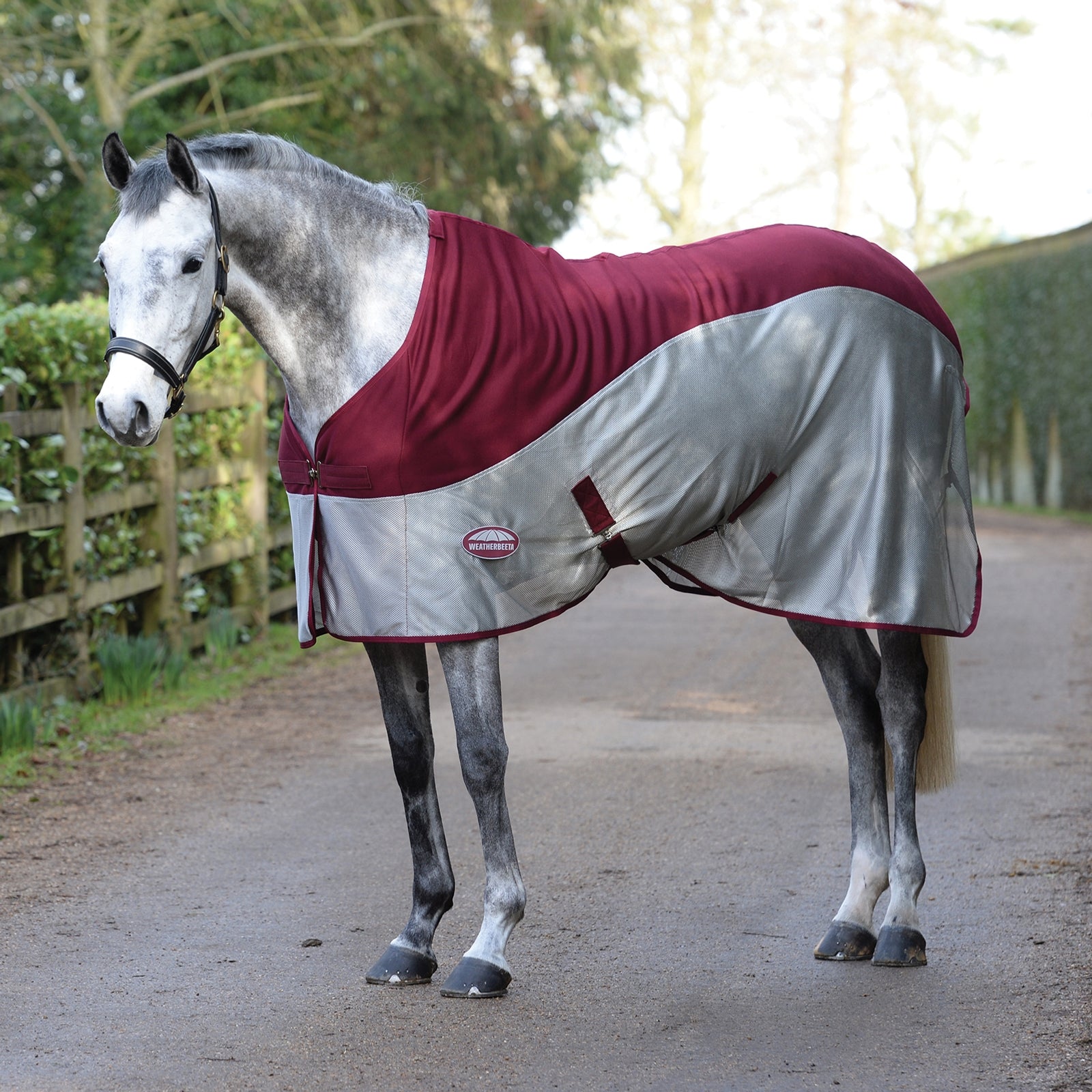 Weatherbeeta Micro-Air Cooler Horse Rugs