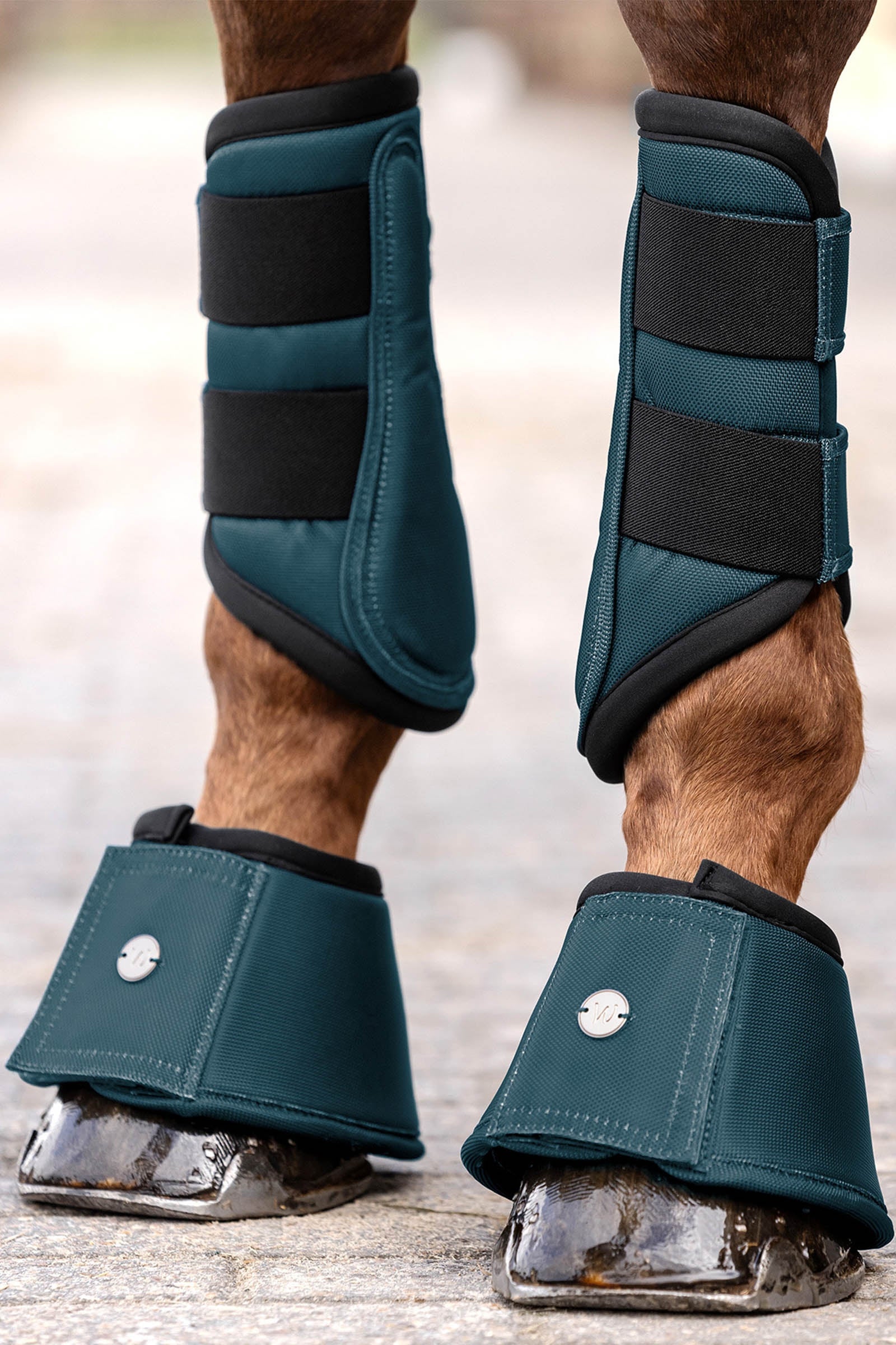 Waldhausen Comfort Fit Bell Boots Leg Protection & Hoof Protection for Horses