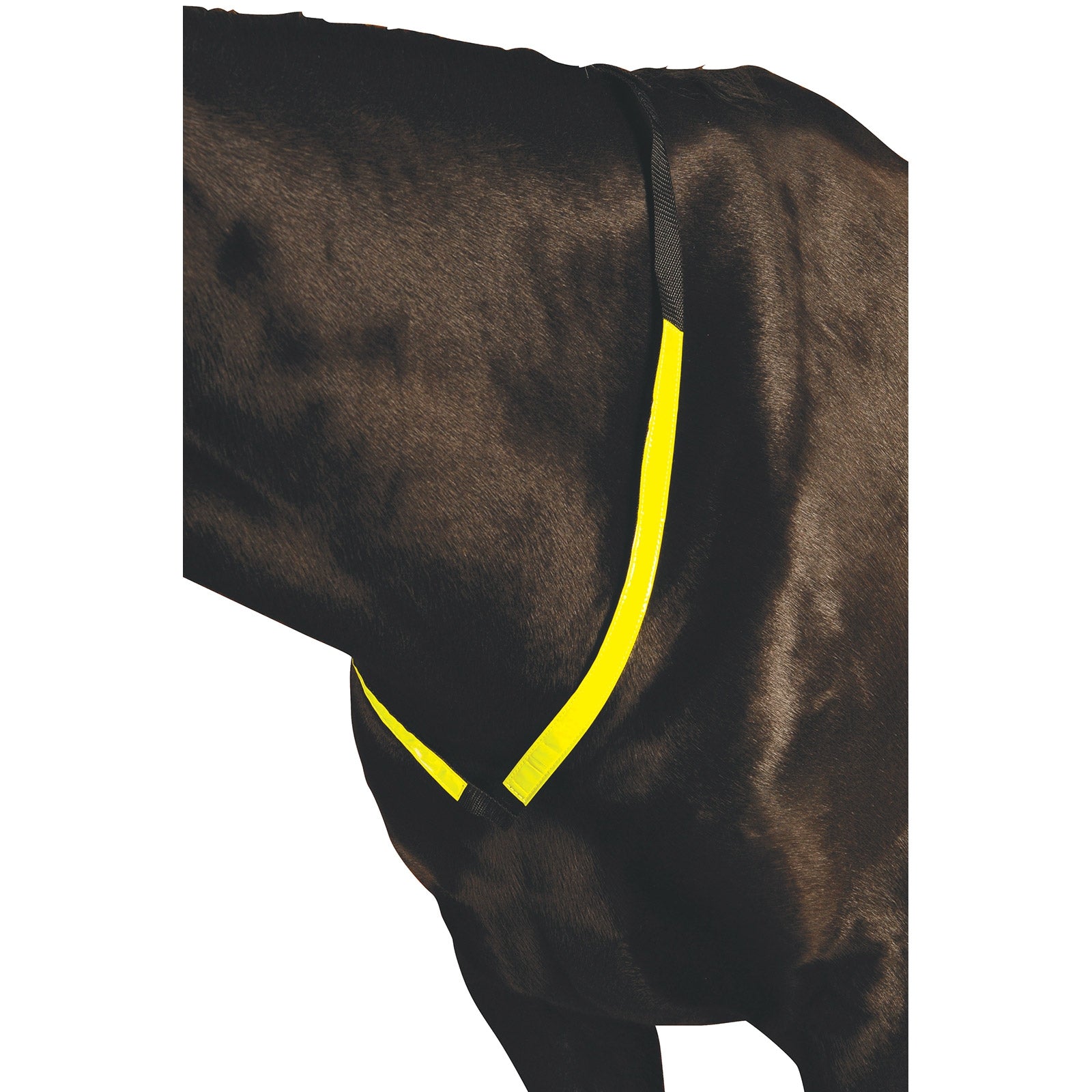 Roma reflektierendes Vorderzeug Trensenzäume & Zügel