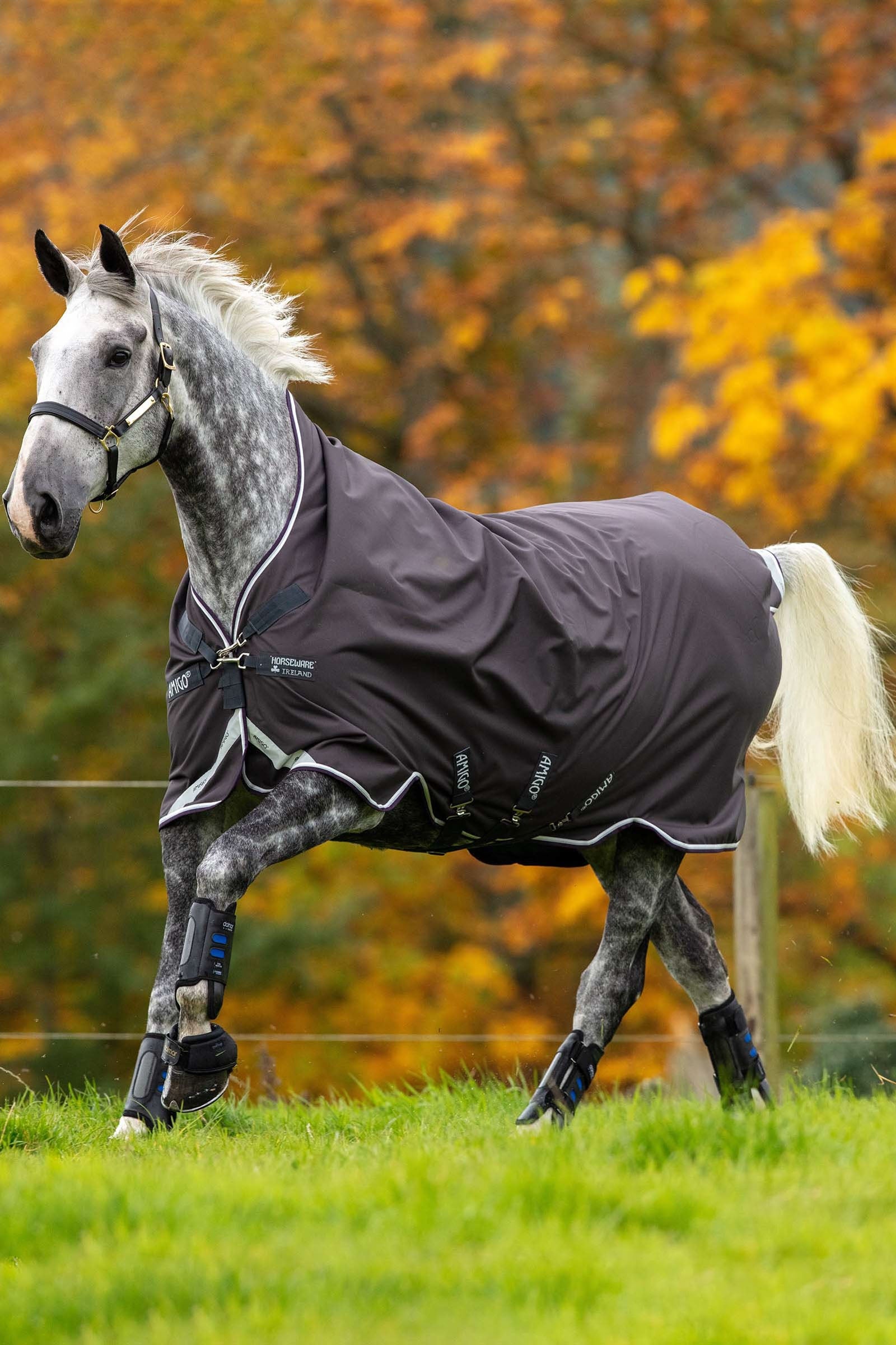 Horseware Amigo Bravo 12 Wug Weidedecke mit hohem Hals, 0 g Pferdedecken