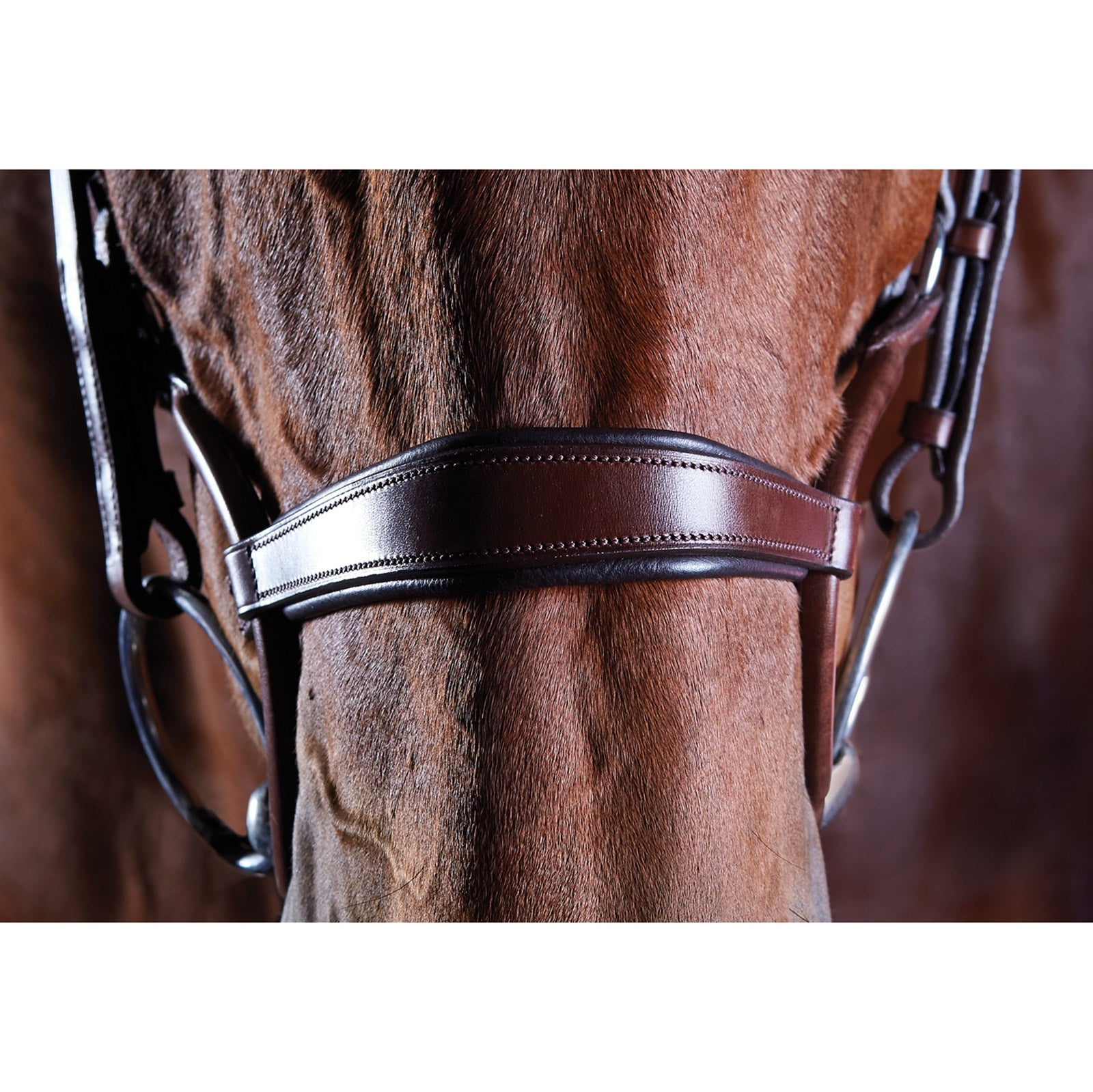 Collegiate ComFiTec Crystal Bridle Bridles & Reins