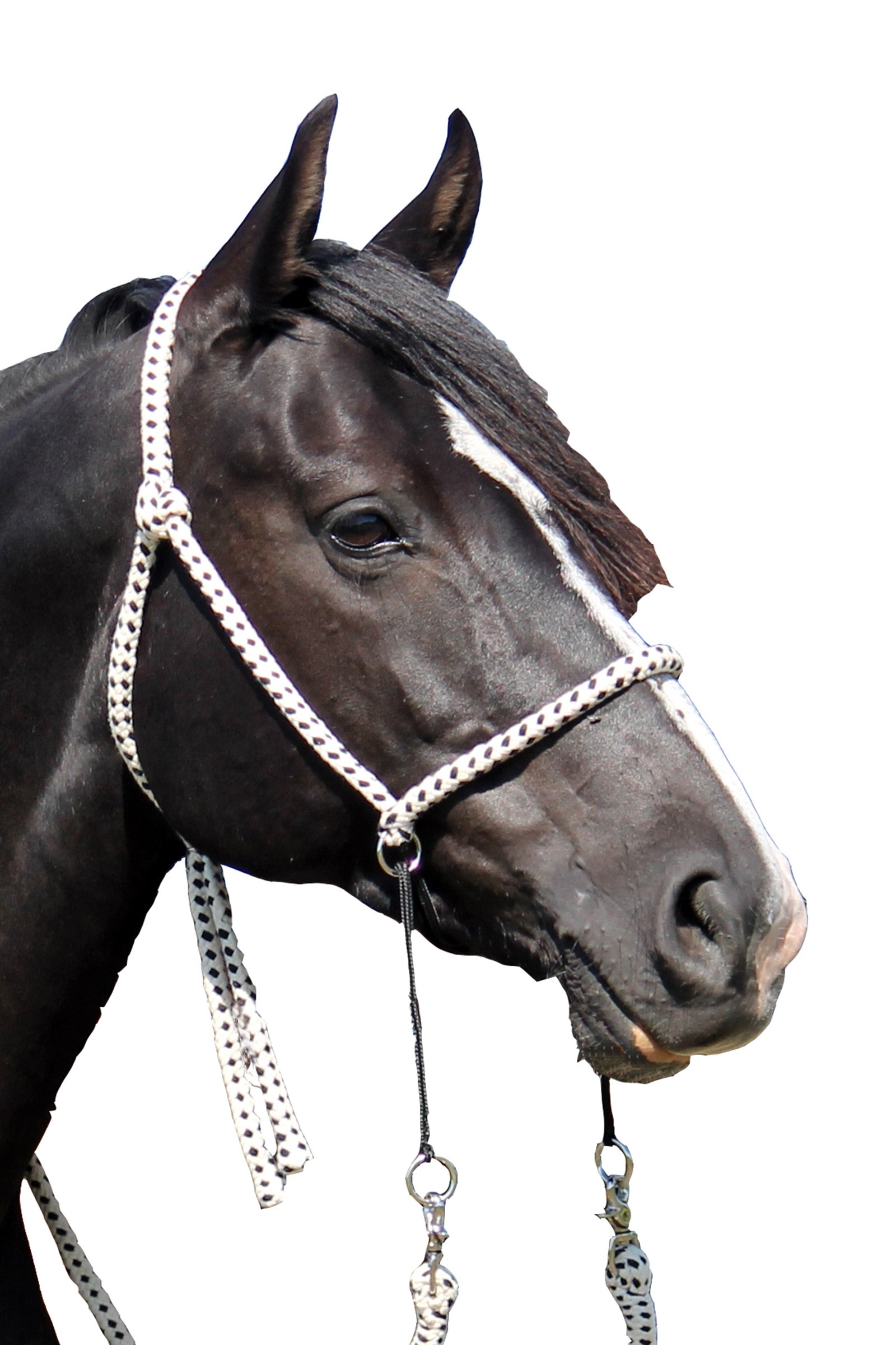 F.R.A. Freedom Riding Articles Nanouk Gebissloser Baumwoll Zaum (System 4) Trensenzäume & Zügel