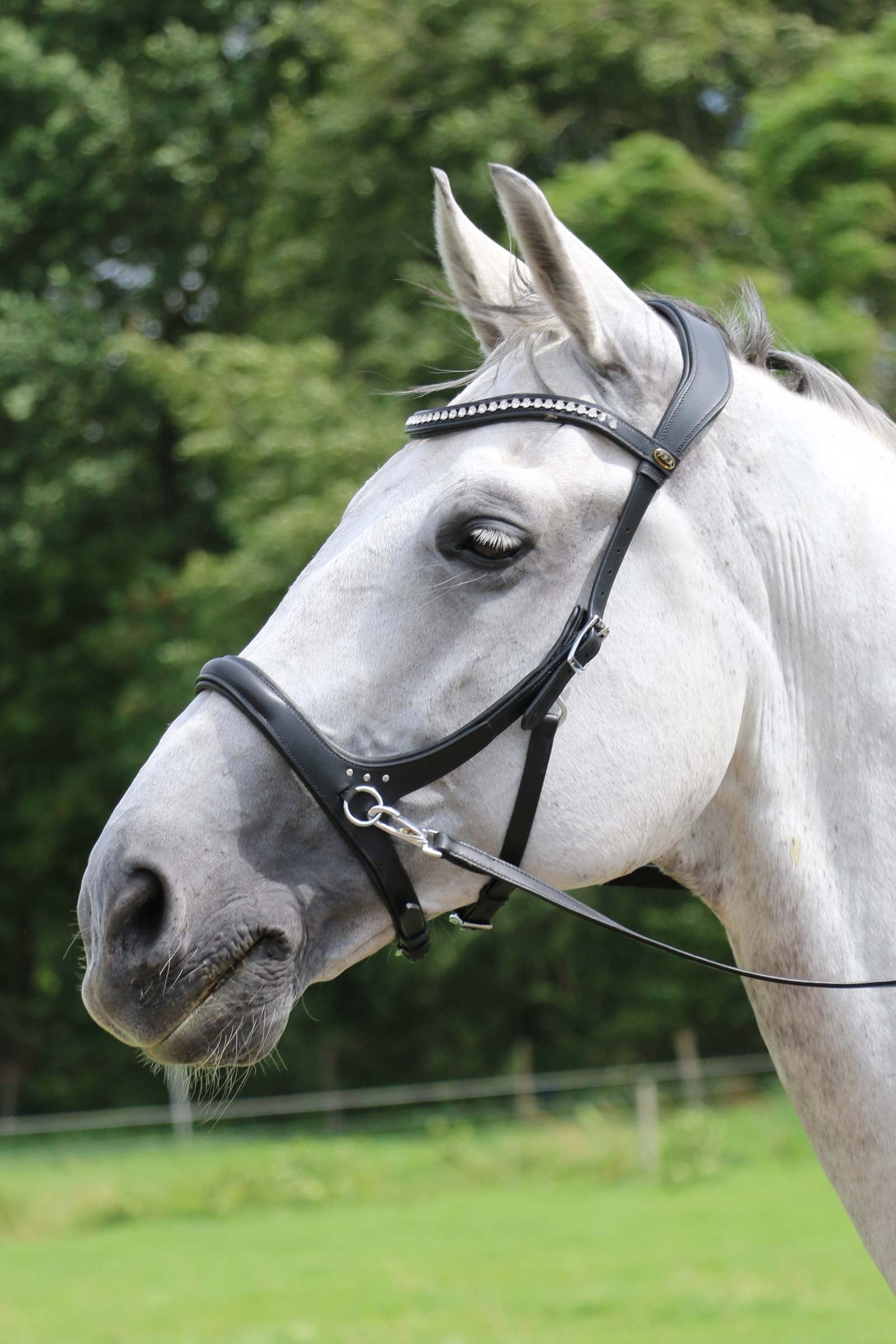 F.R.A. Freedom Riding Articles Rebecca Sidepull With Reins (System 3) Bridles & Reins